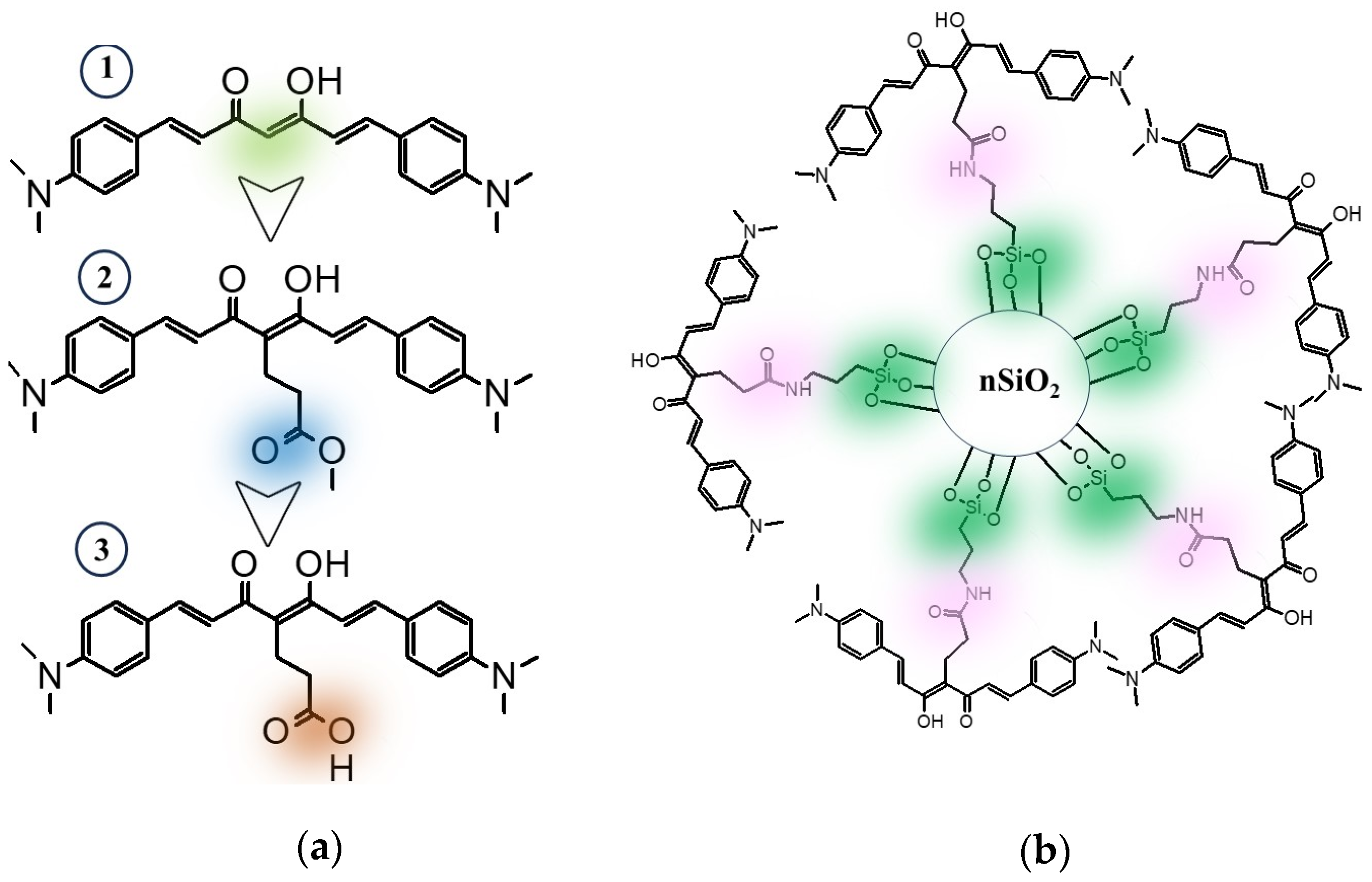 Nanomaterials 14 01022 g001