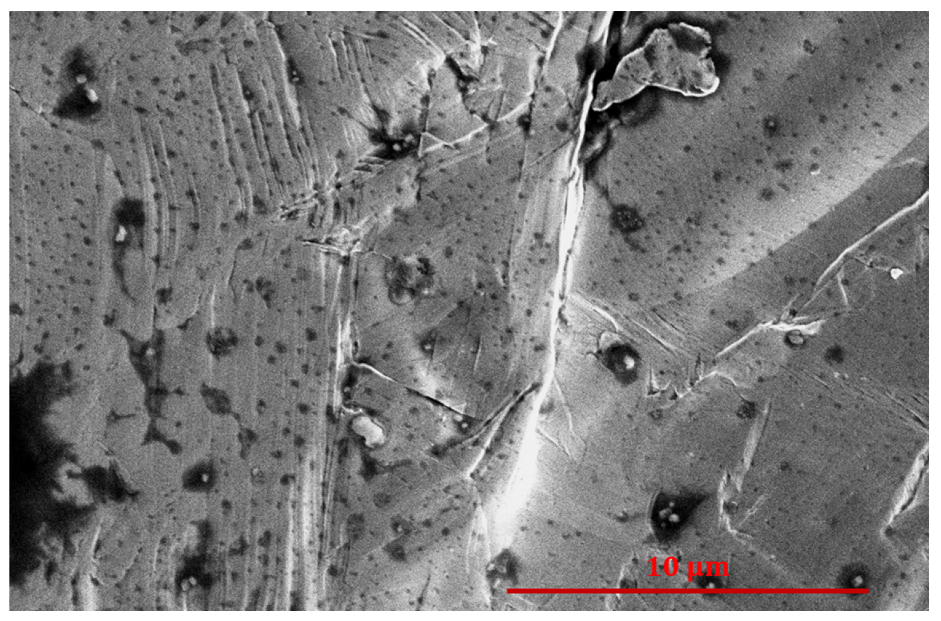 Nanomaterials 14 01023 g006