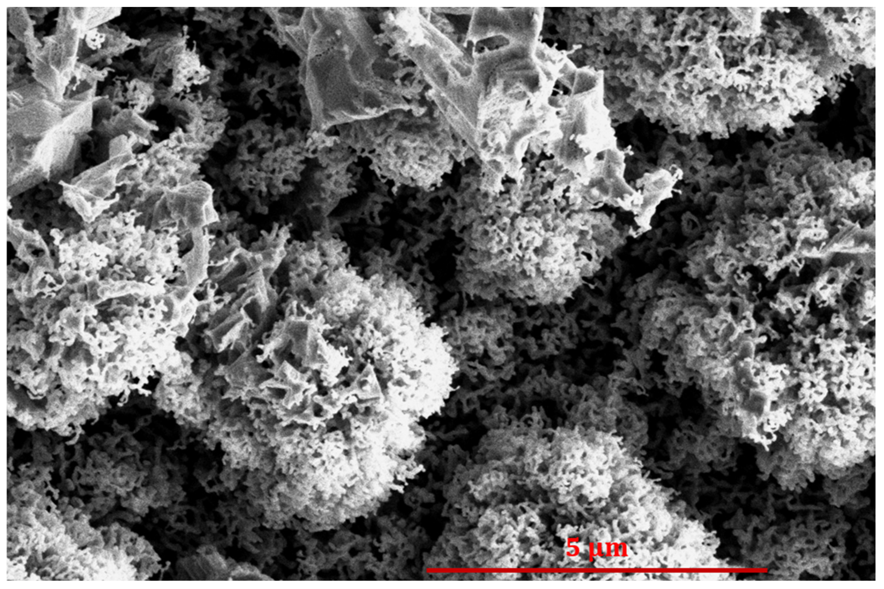 Nanomaterials 14 01023 g007