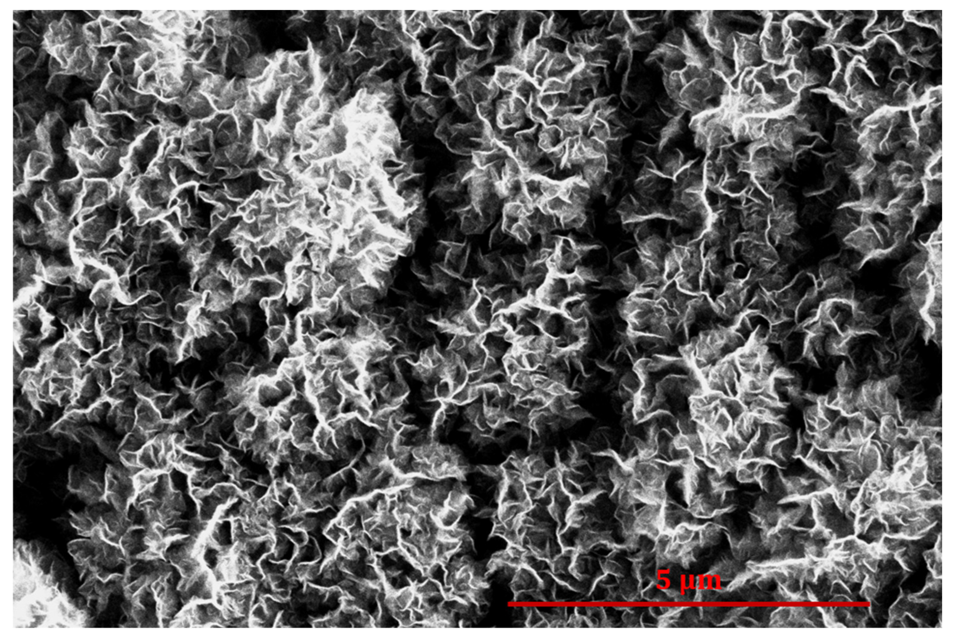 Nanomaterials 14 01023 g008