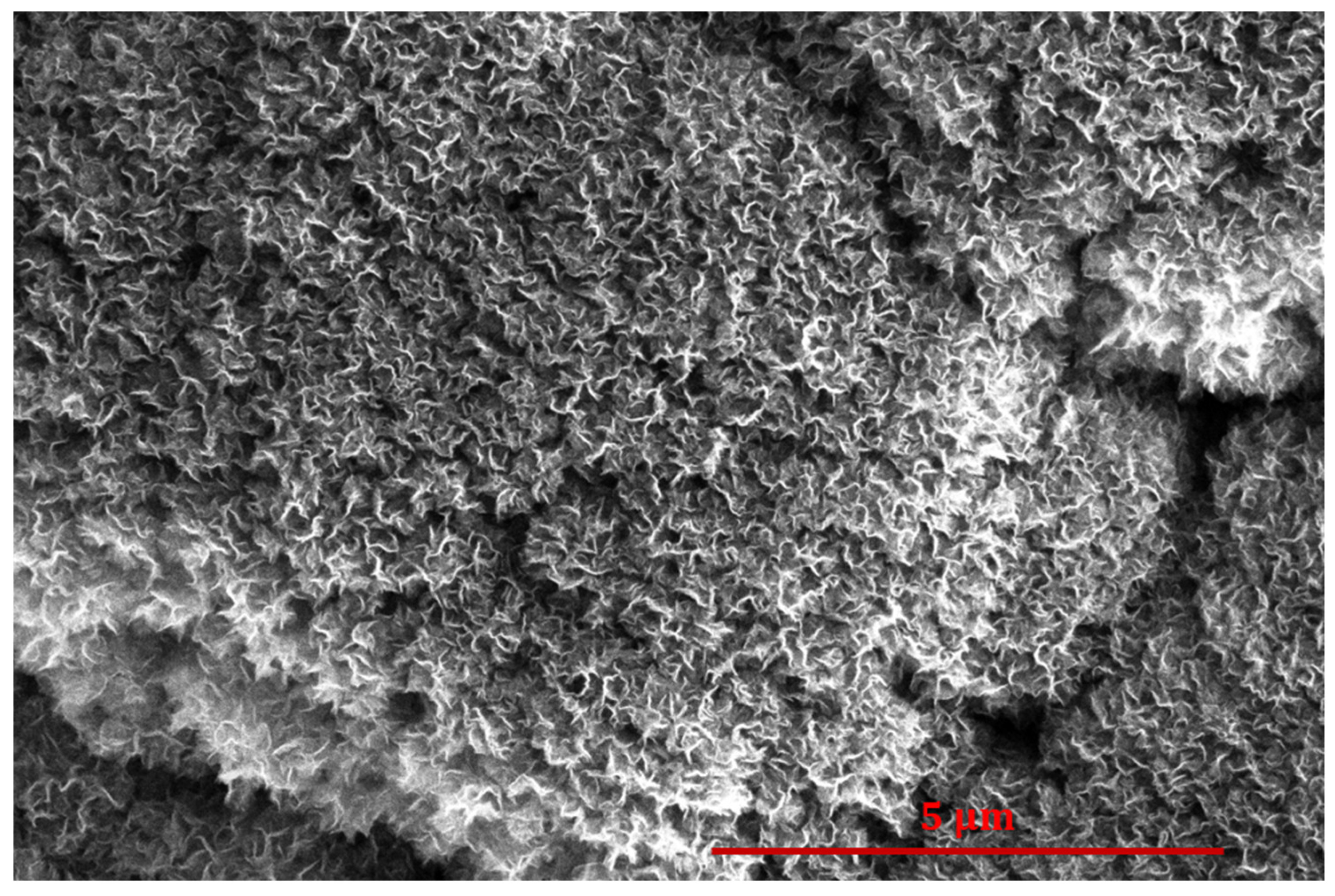 Nanomaterials 14 01023 g009