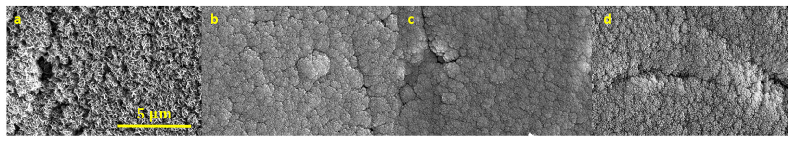 Nanomaterials 14 01023 g013