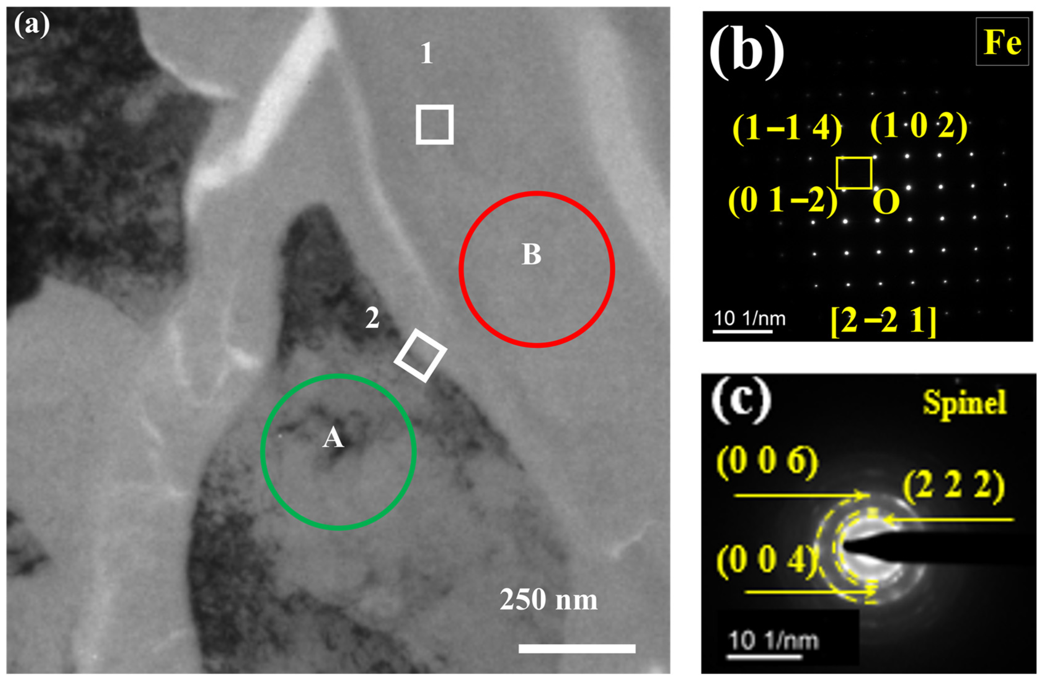 Nanomaterials 14 01026 g007