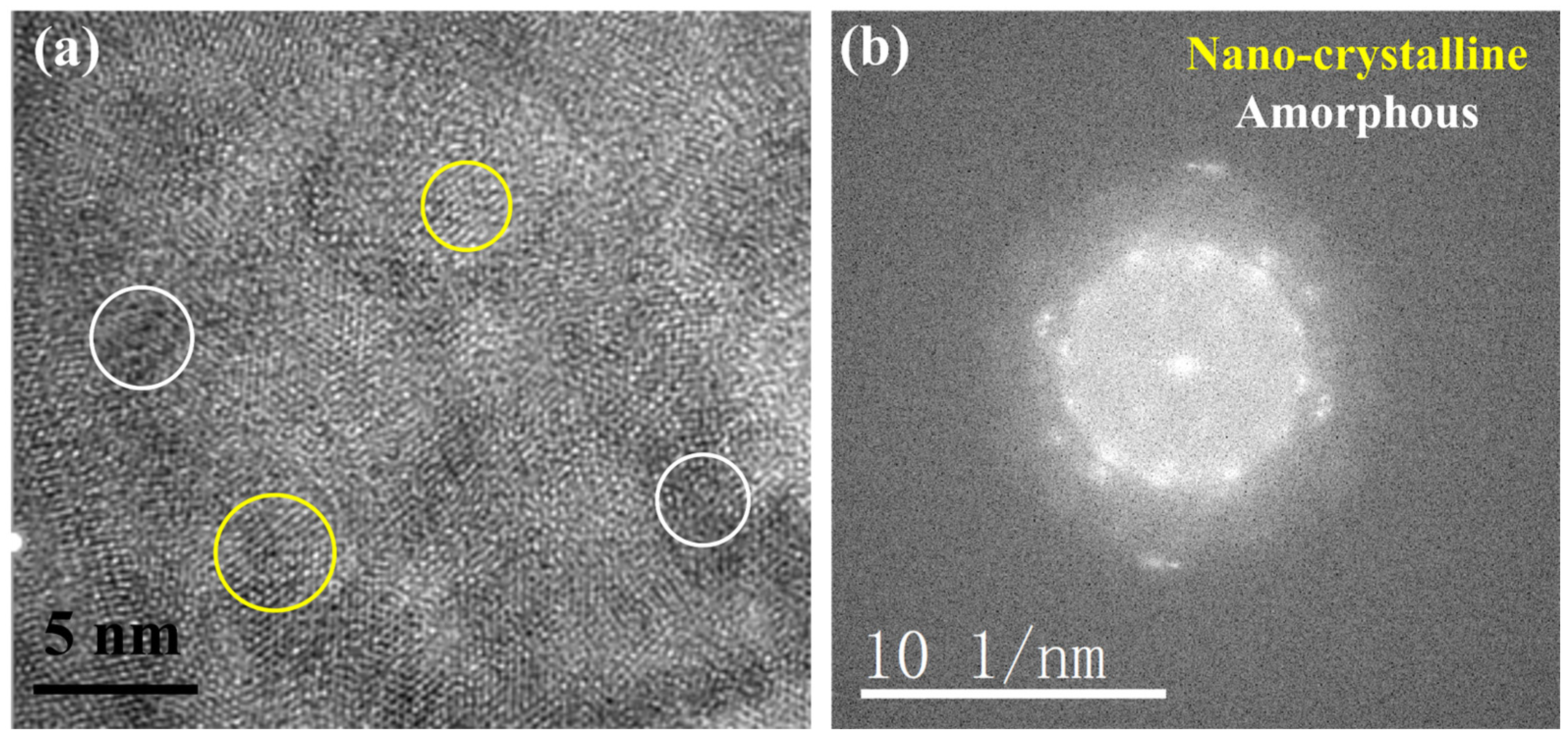 Nanomaterials 14 01026 g008