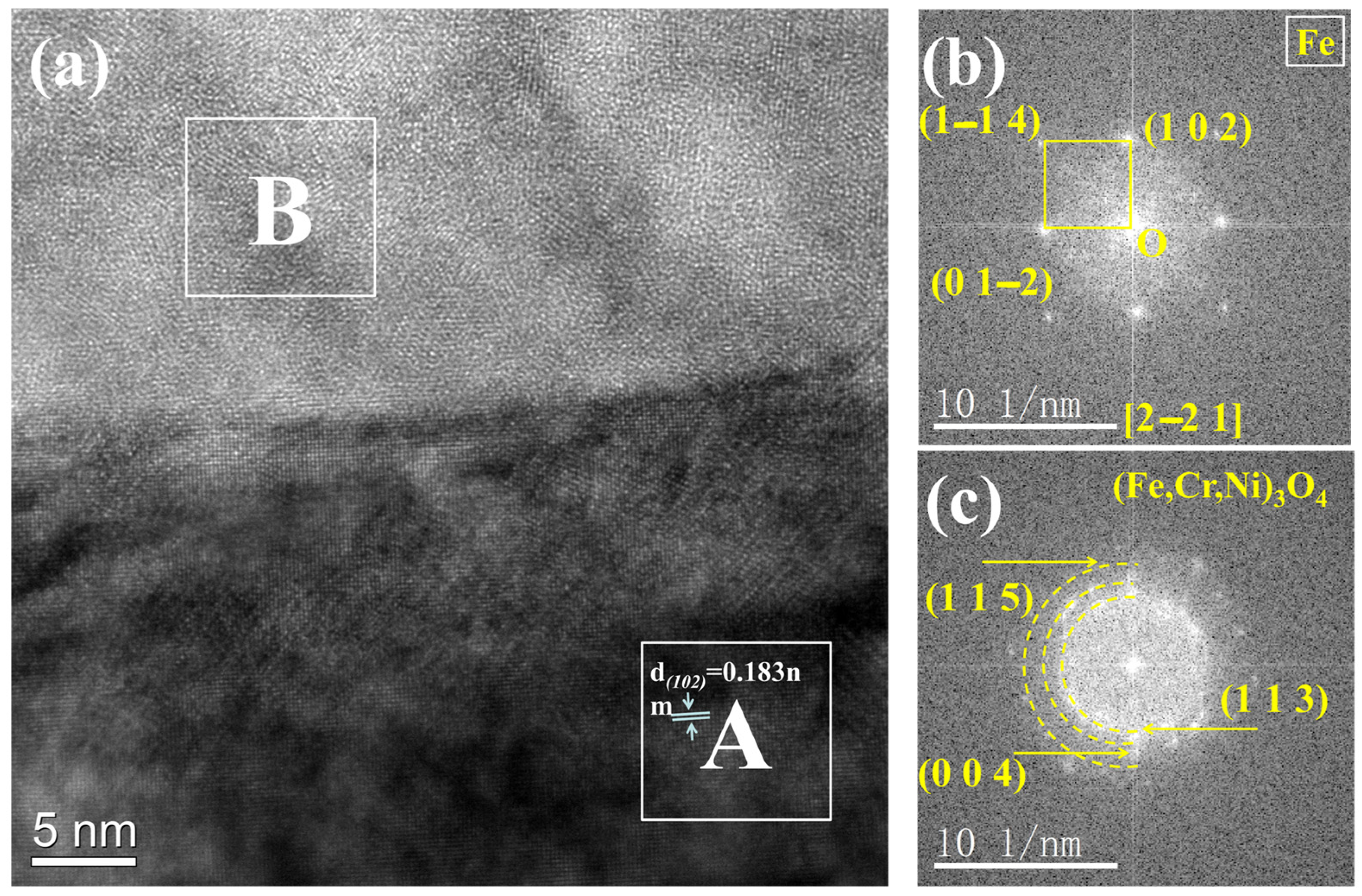 Nanomaterials 14 01026 g009