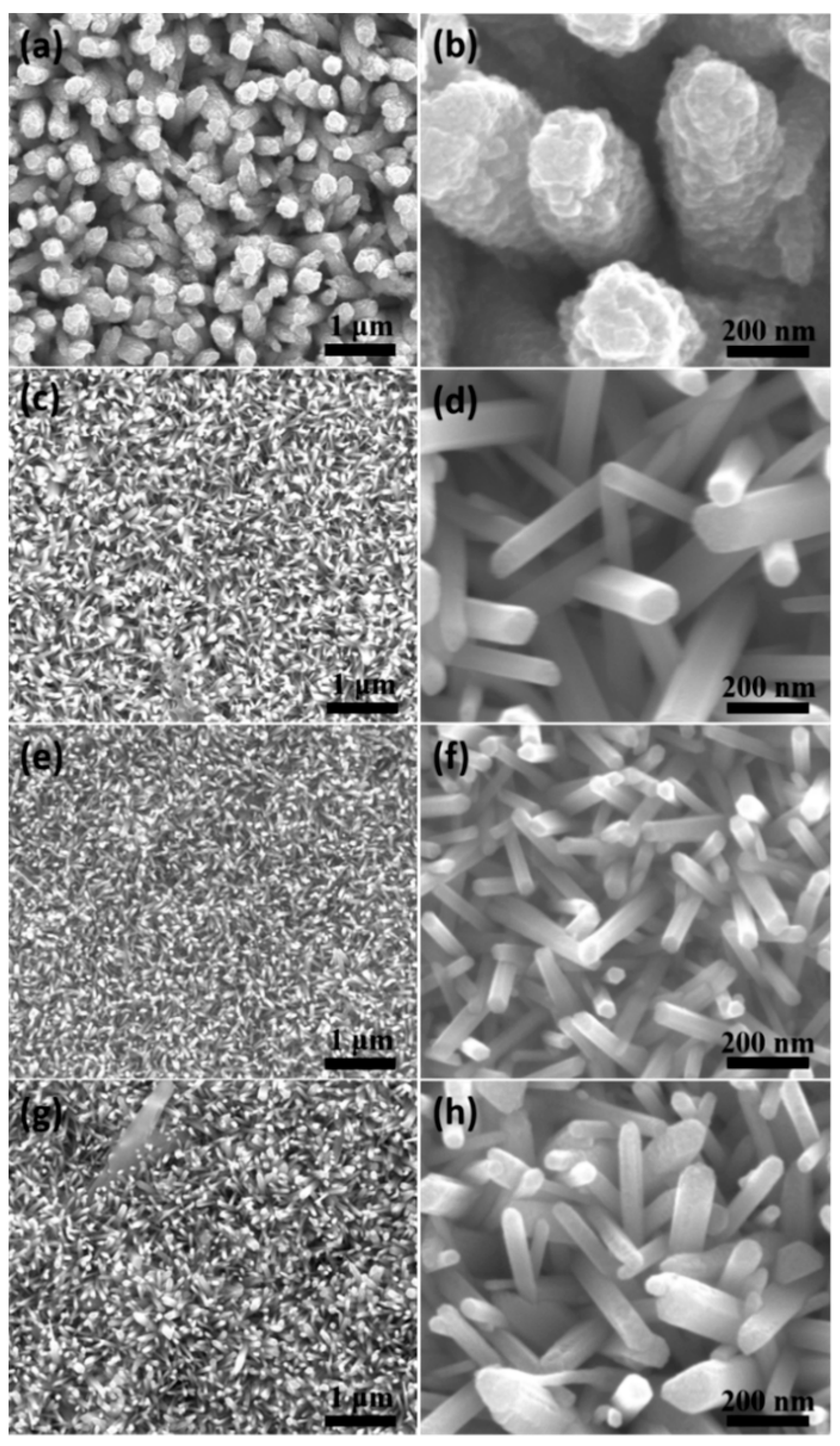 Nanomaterials 14 01028 g002
