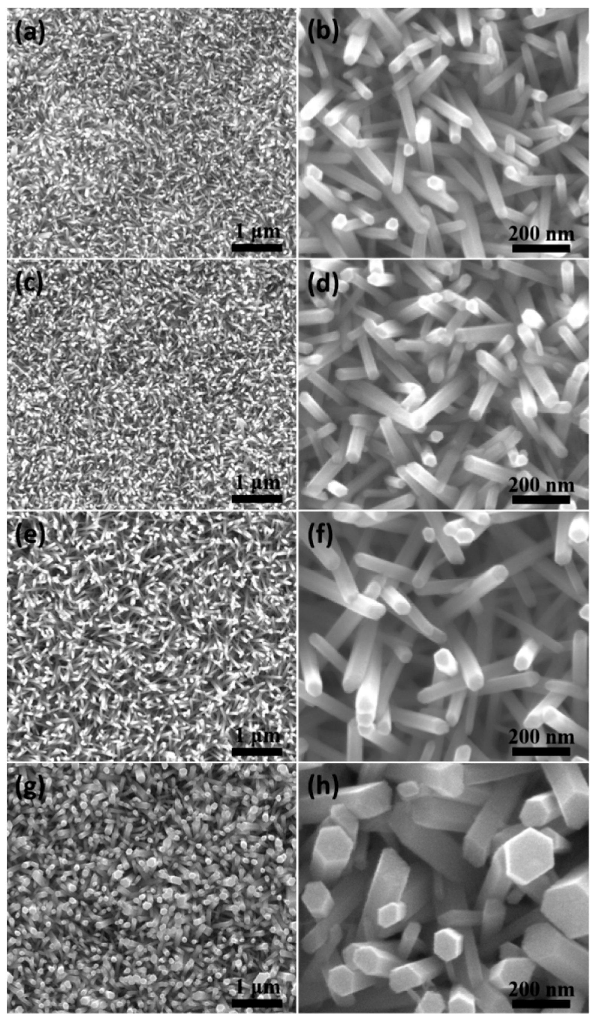 Nanomaterials 14 01028 g004