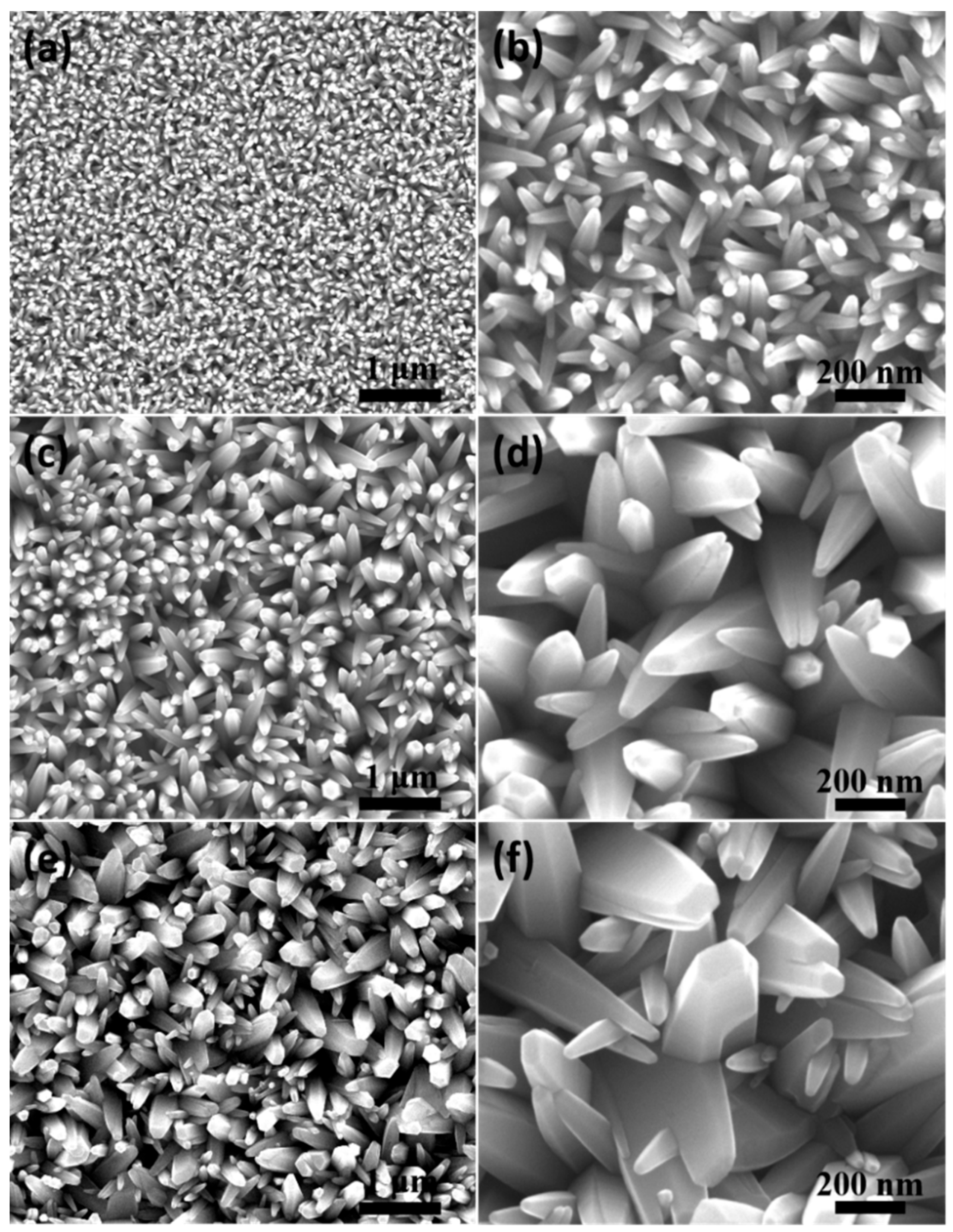 Nanomaterials 14 01028 g006