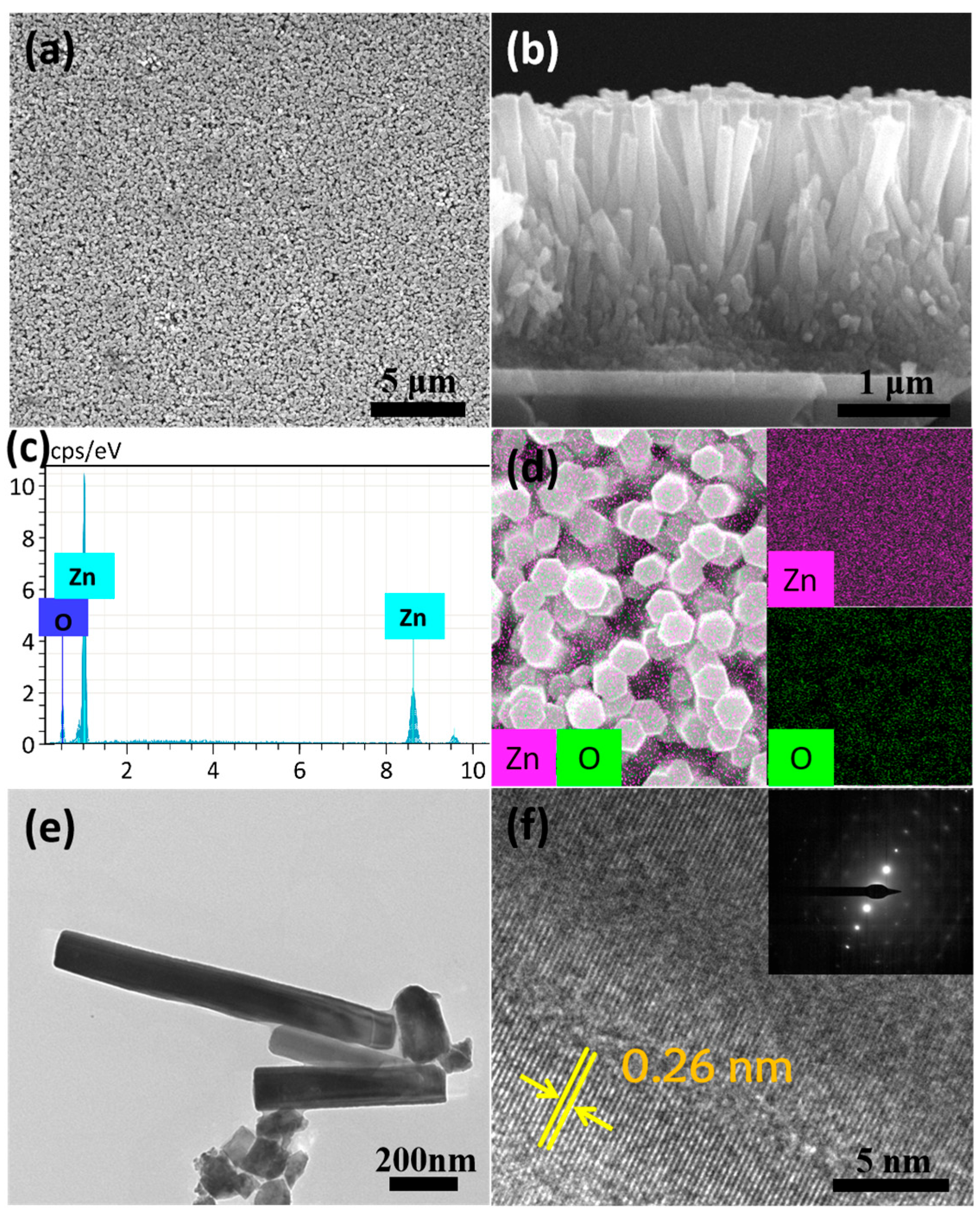 Nanomaterials 14 01028 g008