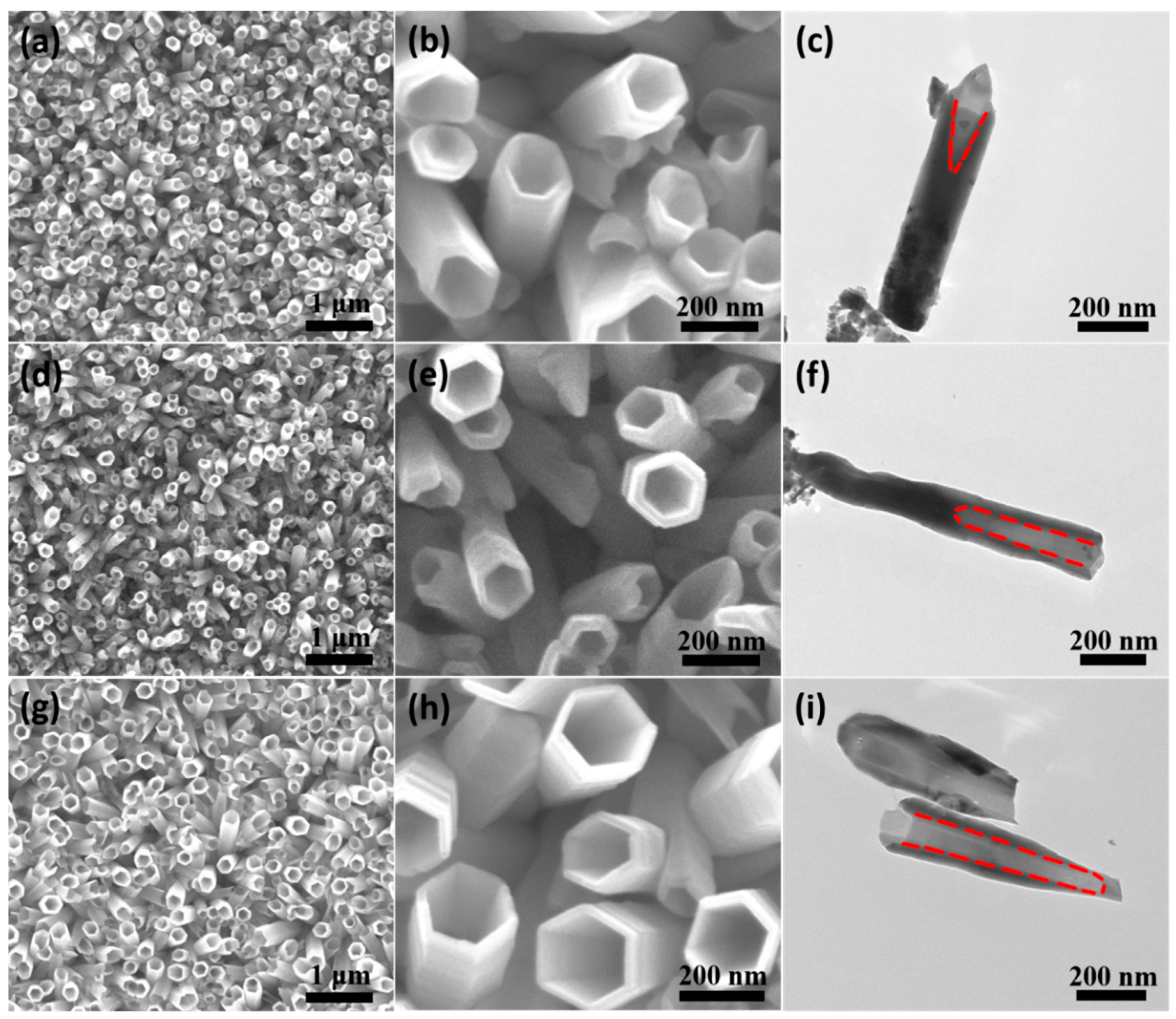 Nanomaterials 14 01028 g009