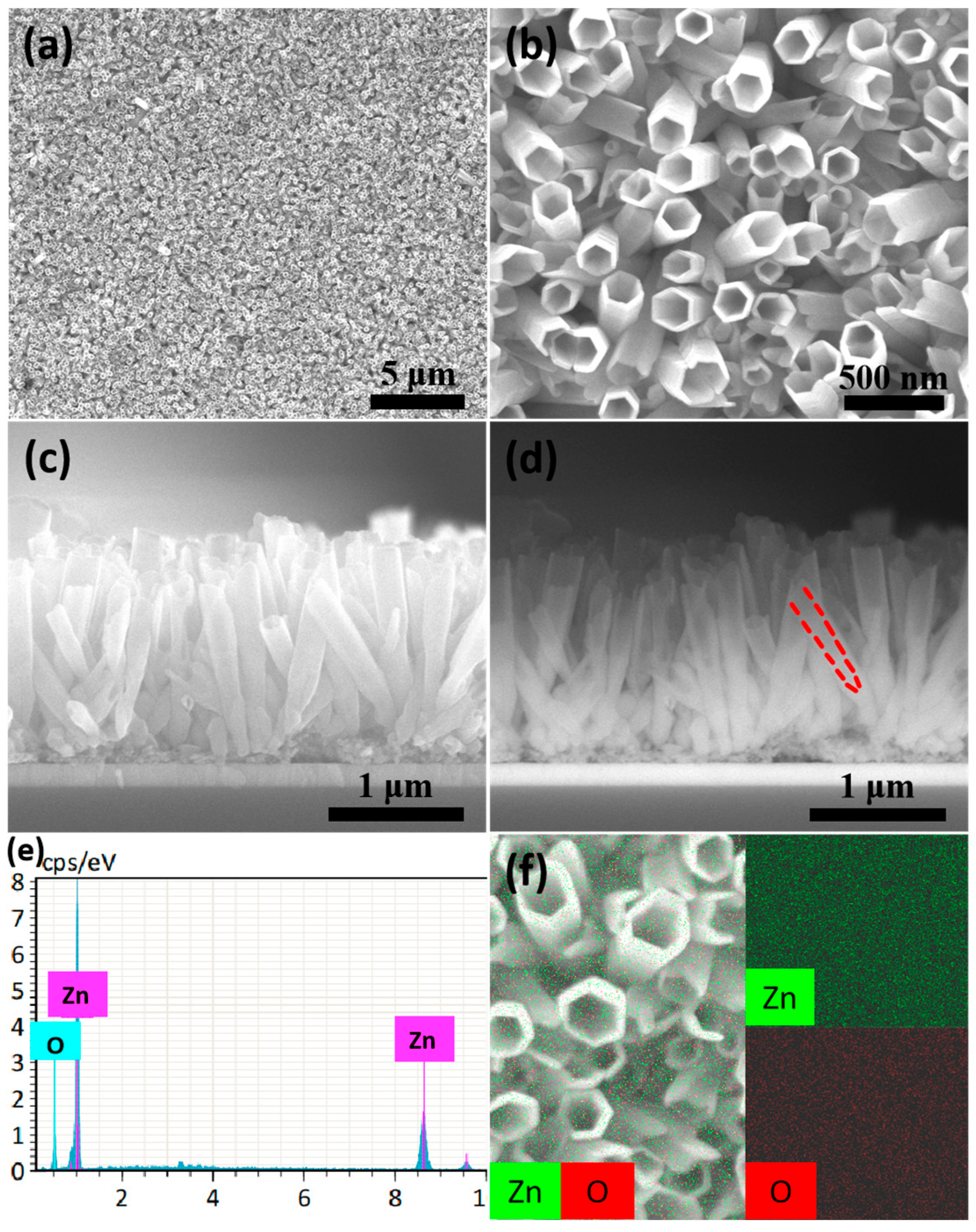 Nanomaterials 14 01028 g010