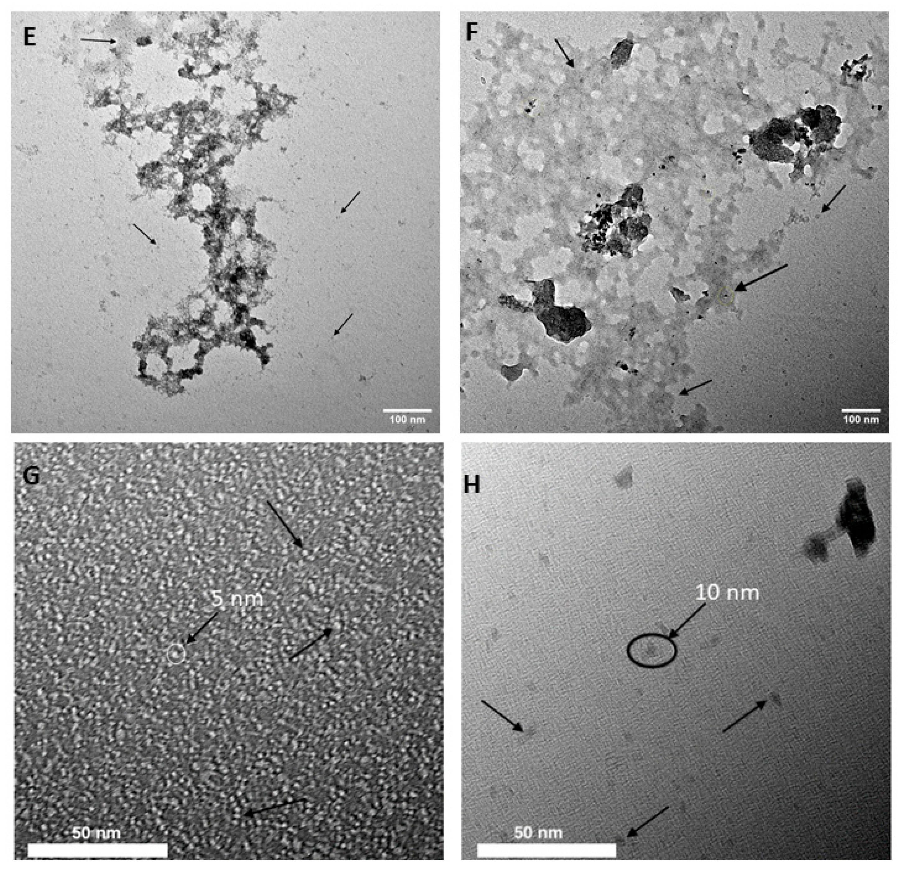 Nanomaterials 14 01029 g003b