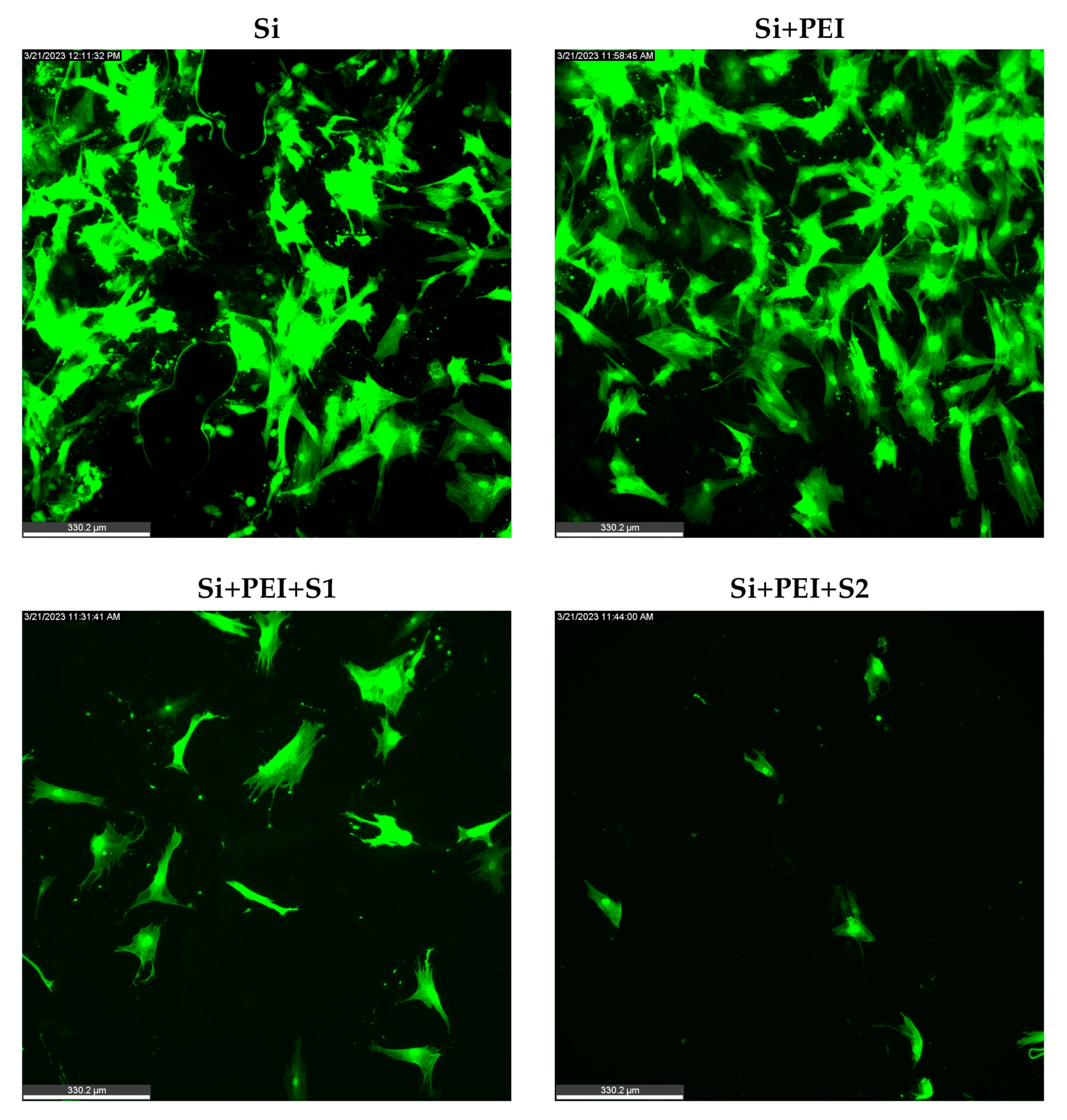 Nanomaterials 14 01029 g004