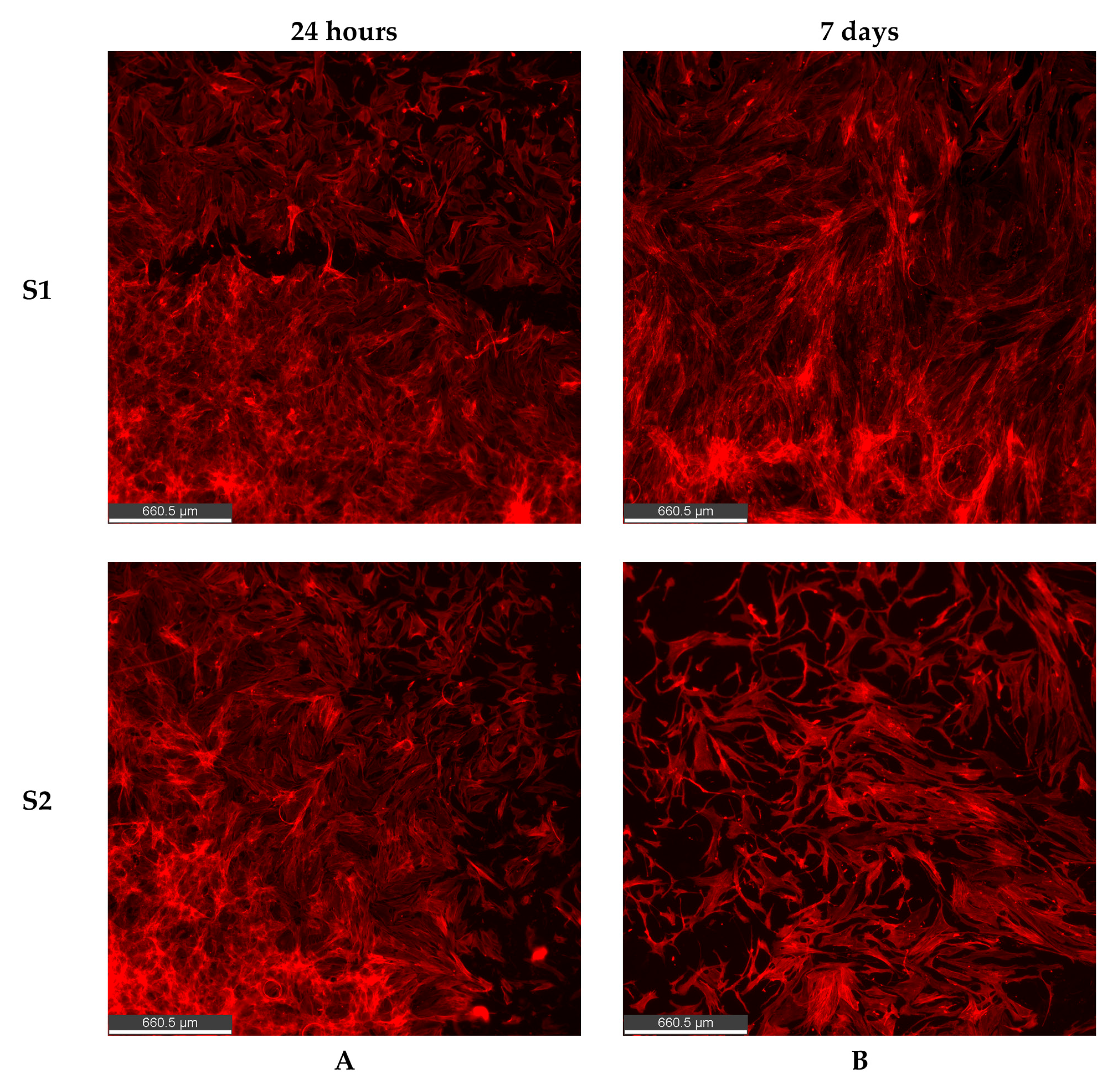 Nanomaterials 14 01029 g005