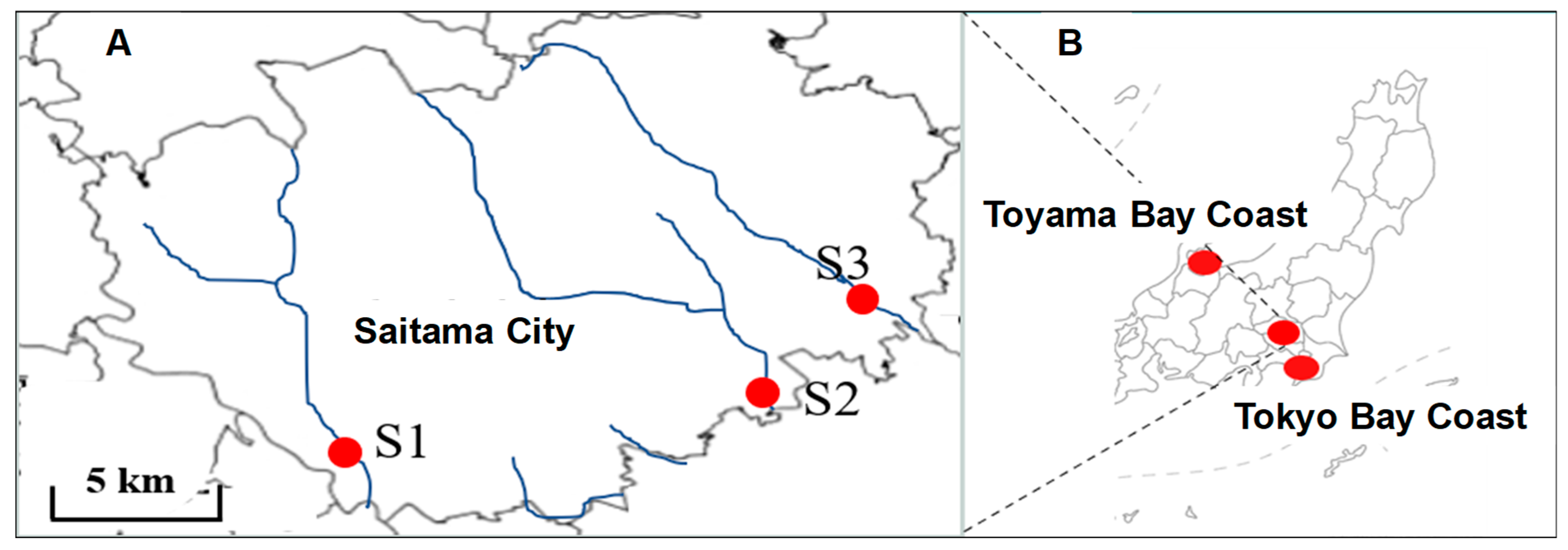 Nanomaterials 14 01030 g001