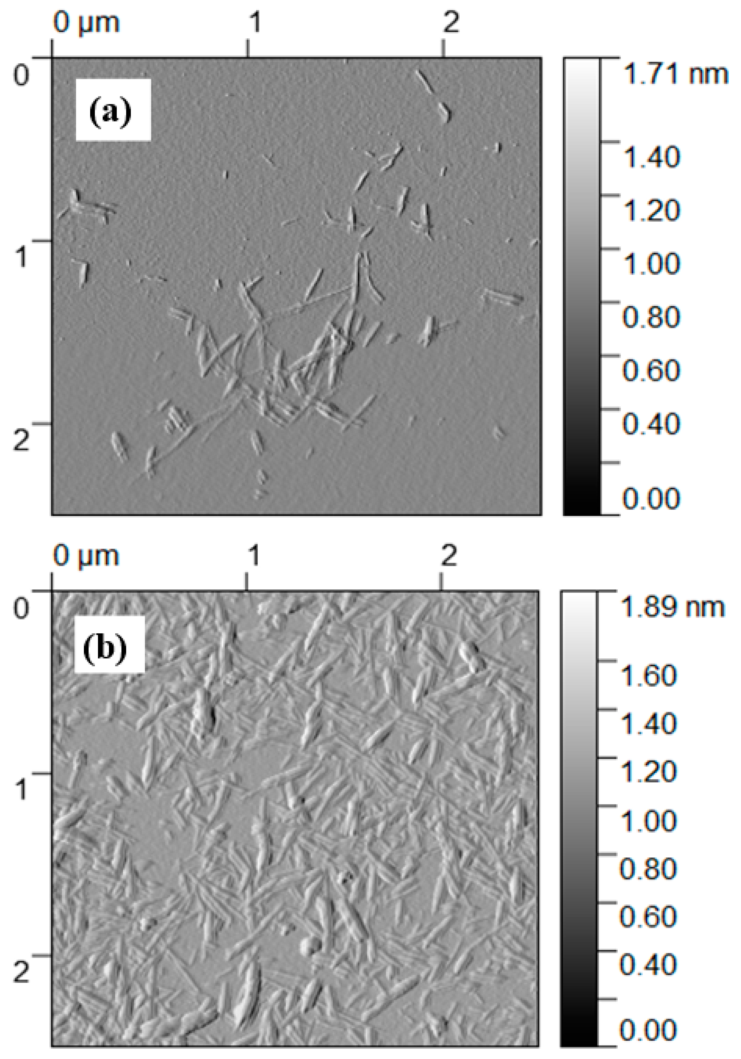 Nanomaterials 14 01032 g004