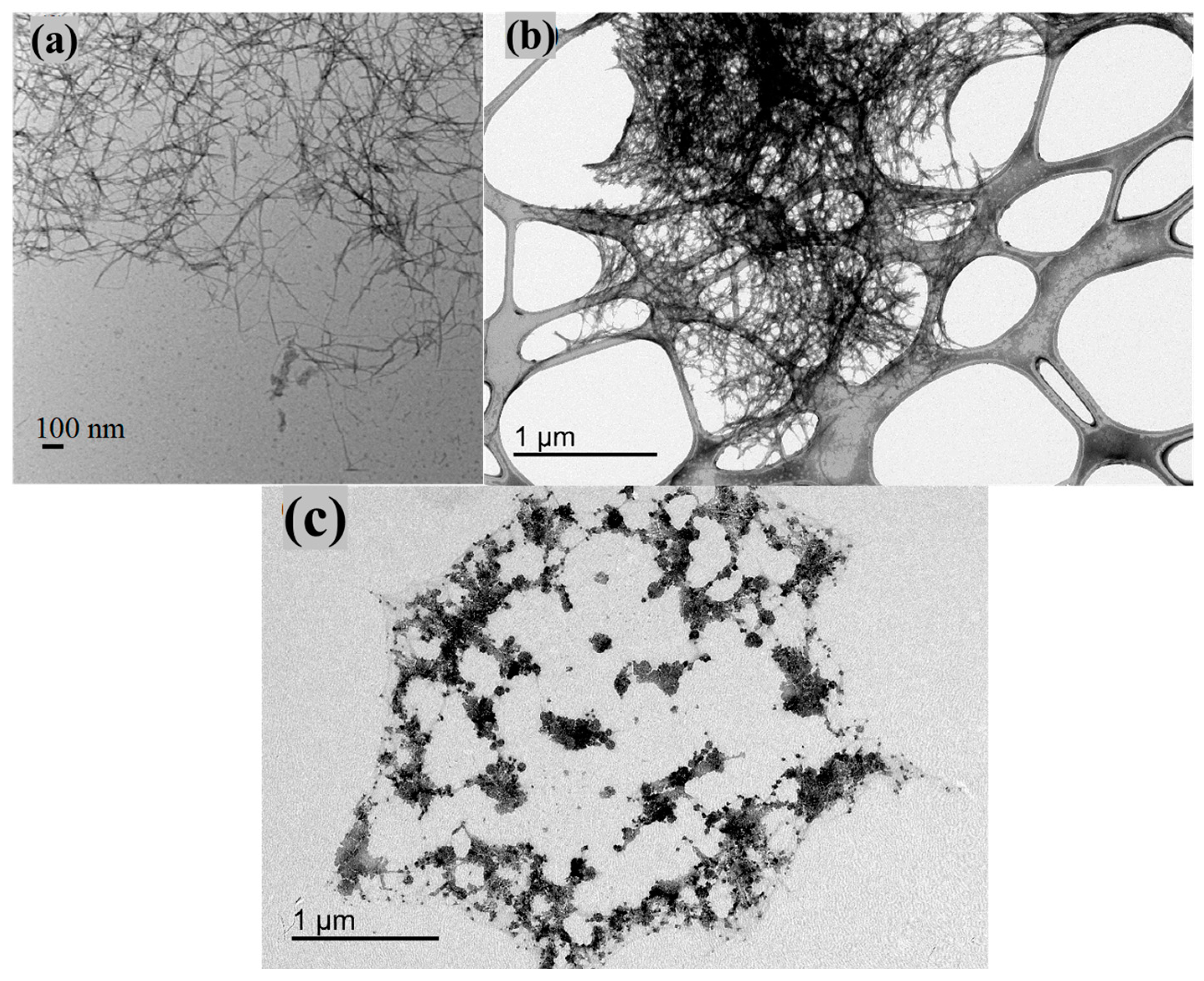 Nanomaterials 14 01032 g007
