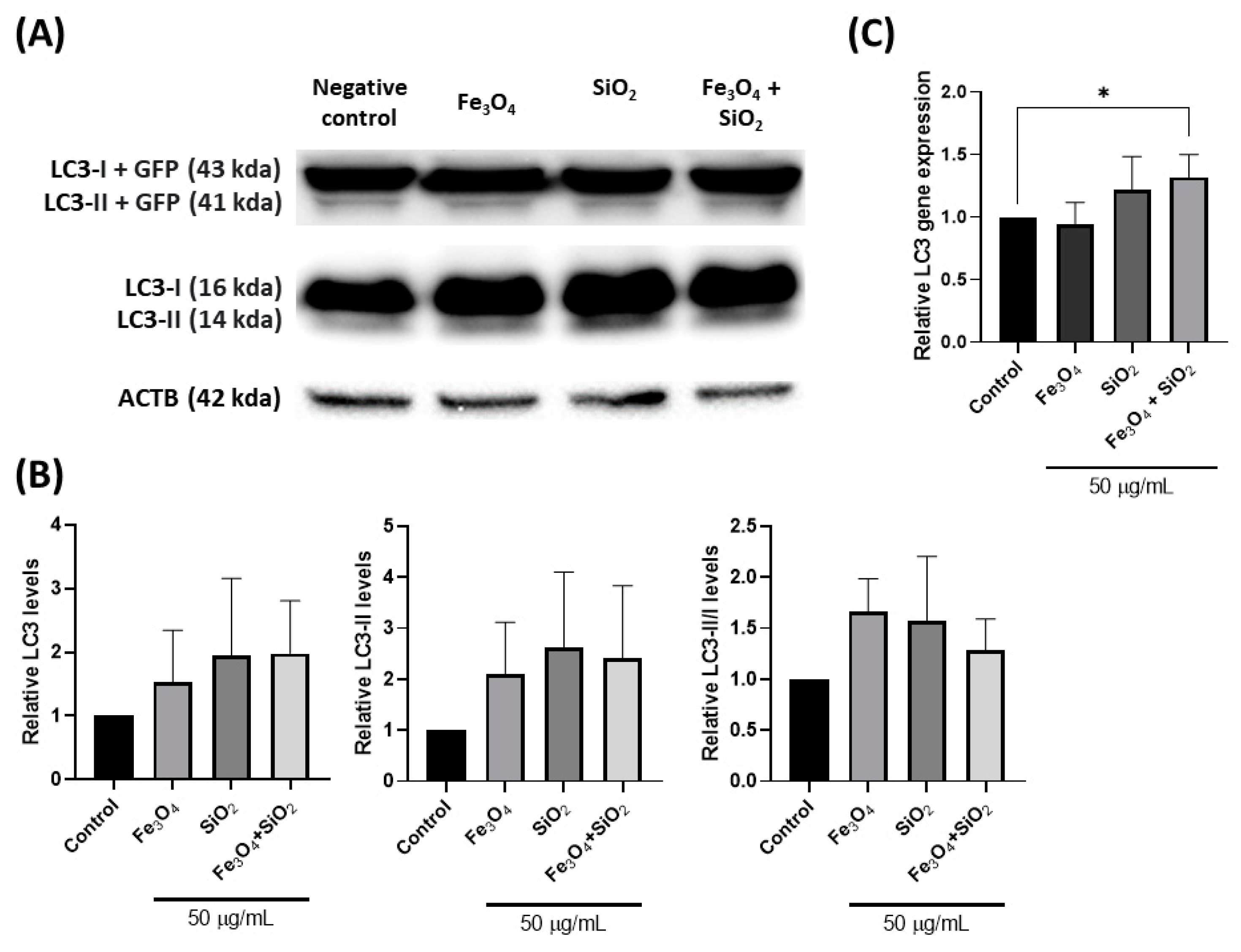 Nanomaterials 14 01033 g003