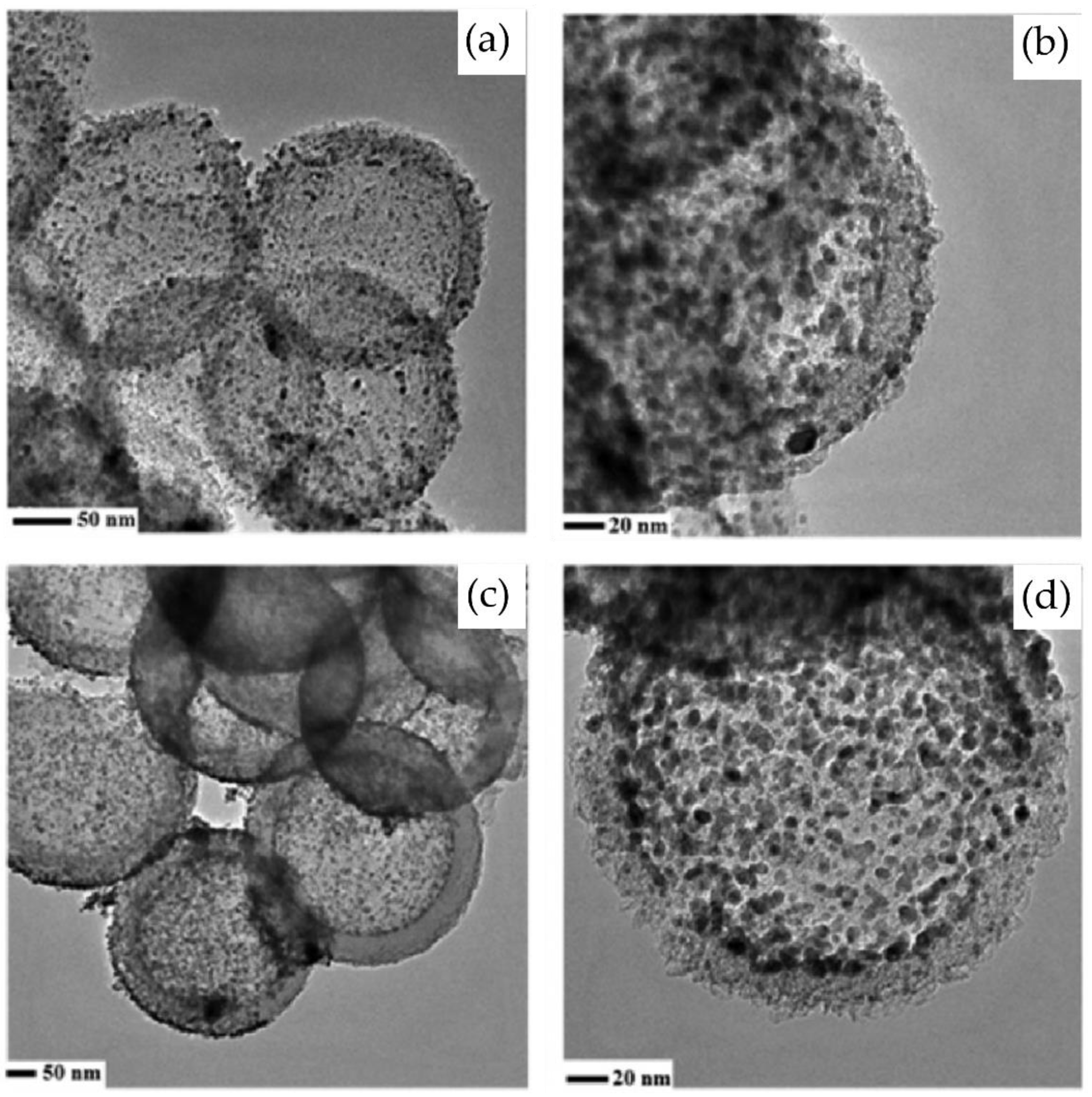 Nanomaterials 14 01036 g003