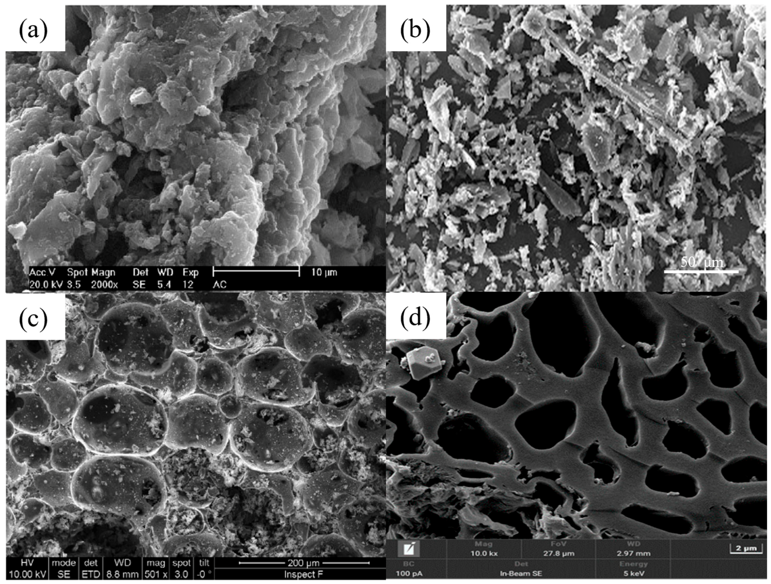 Nanomaterials 14 01037 g004
