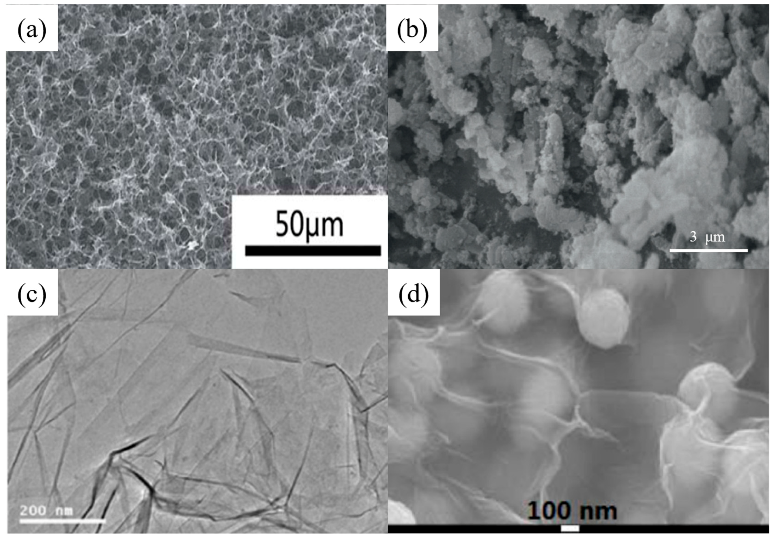 Nanomaterials 14 01037 g006