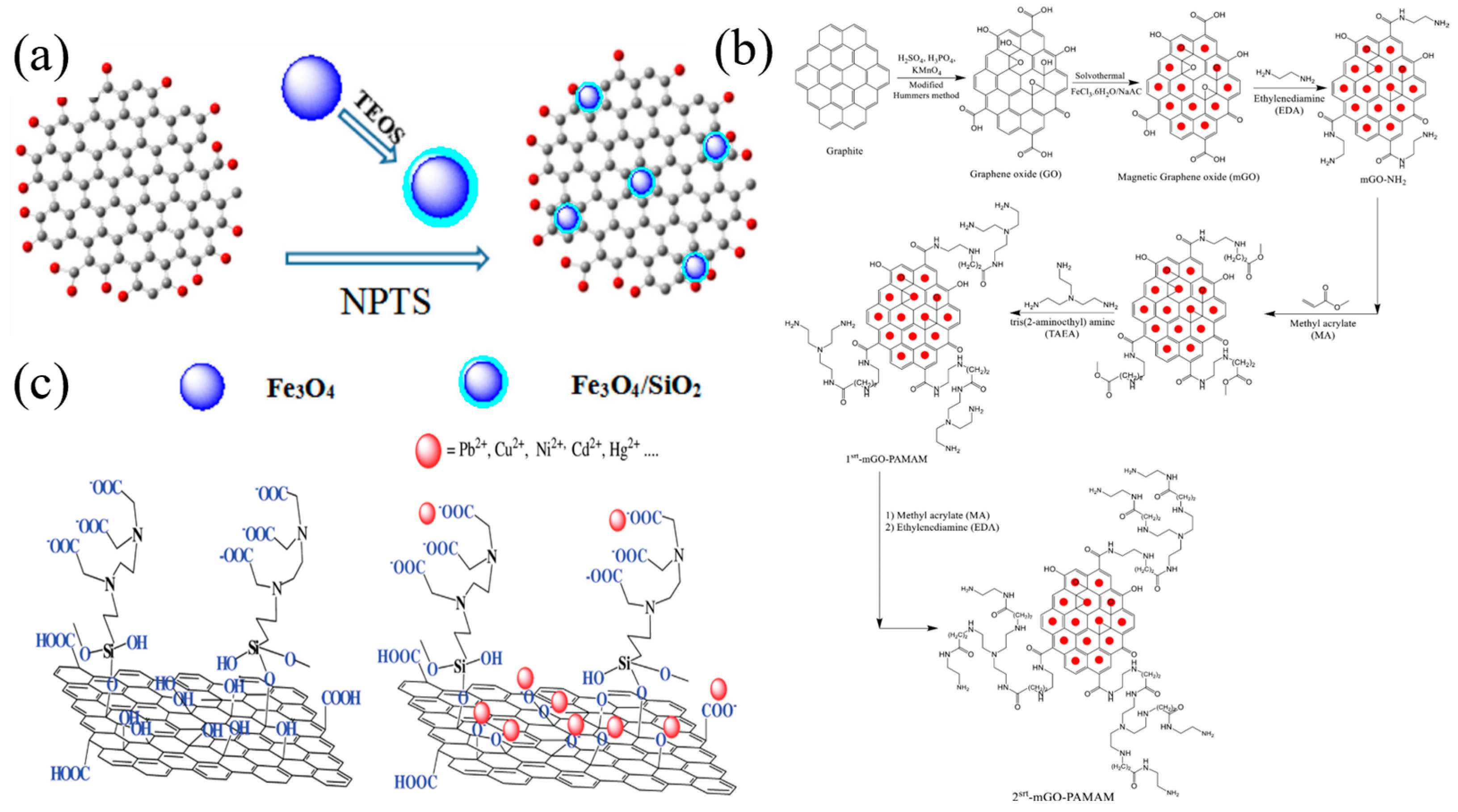 Nanomaterials 14 01037 g007