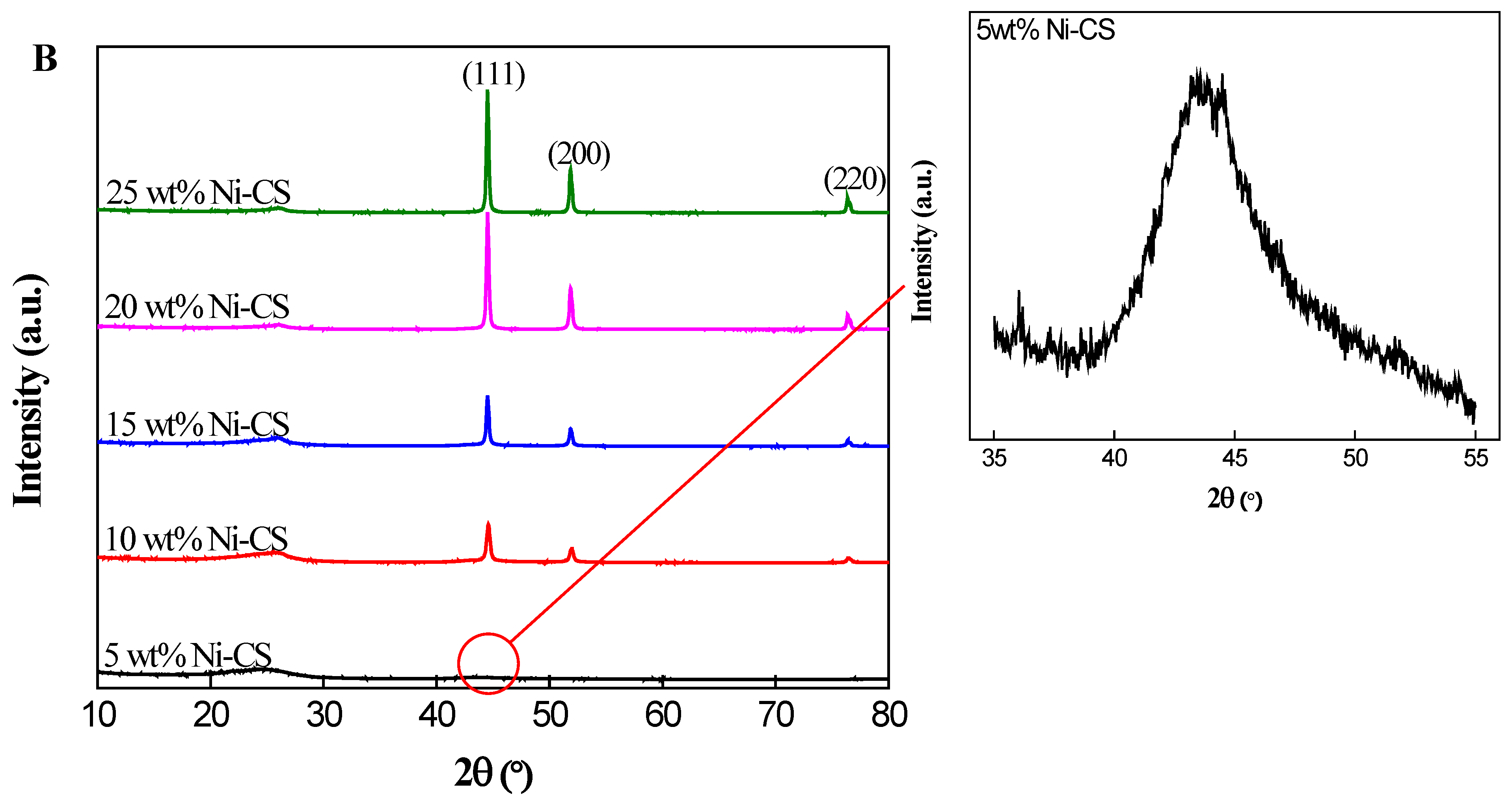Nanomaterials 14 01042 g002b