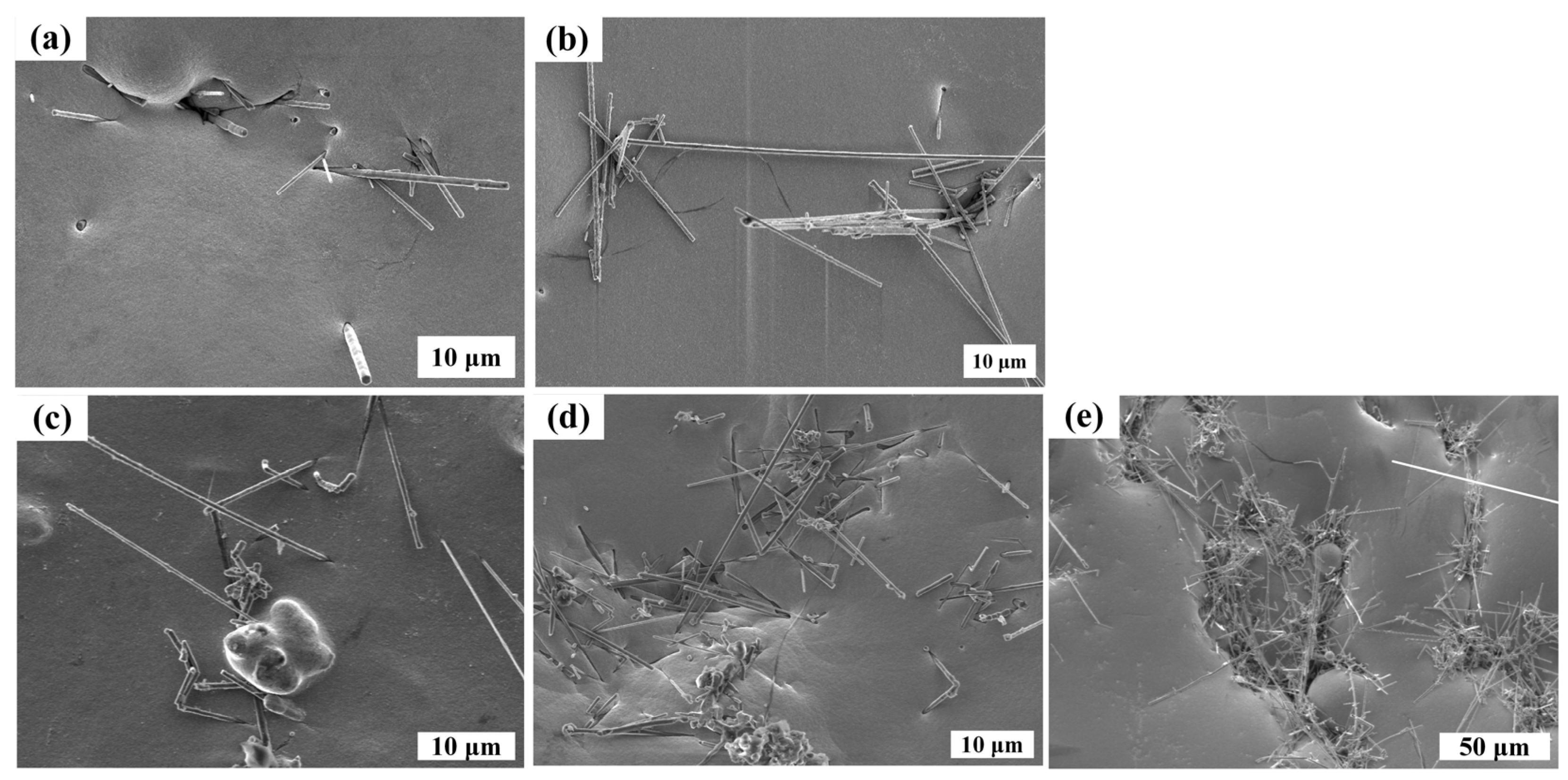 Nanomaterials 14 01043 g002