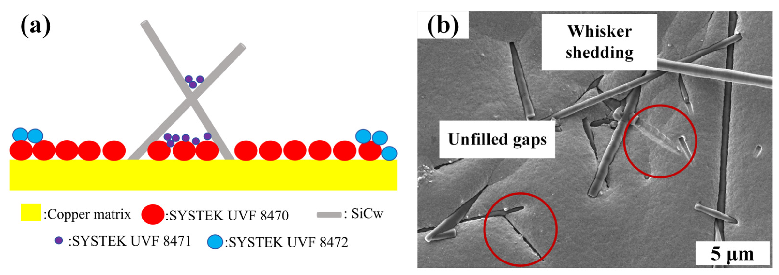 Nanomaterials 14 01043 g003