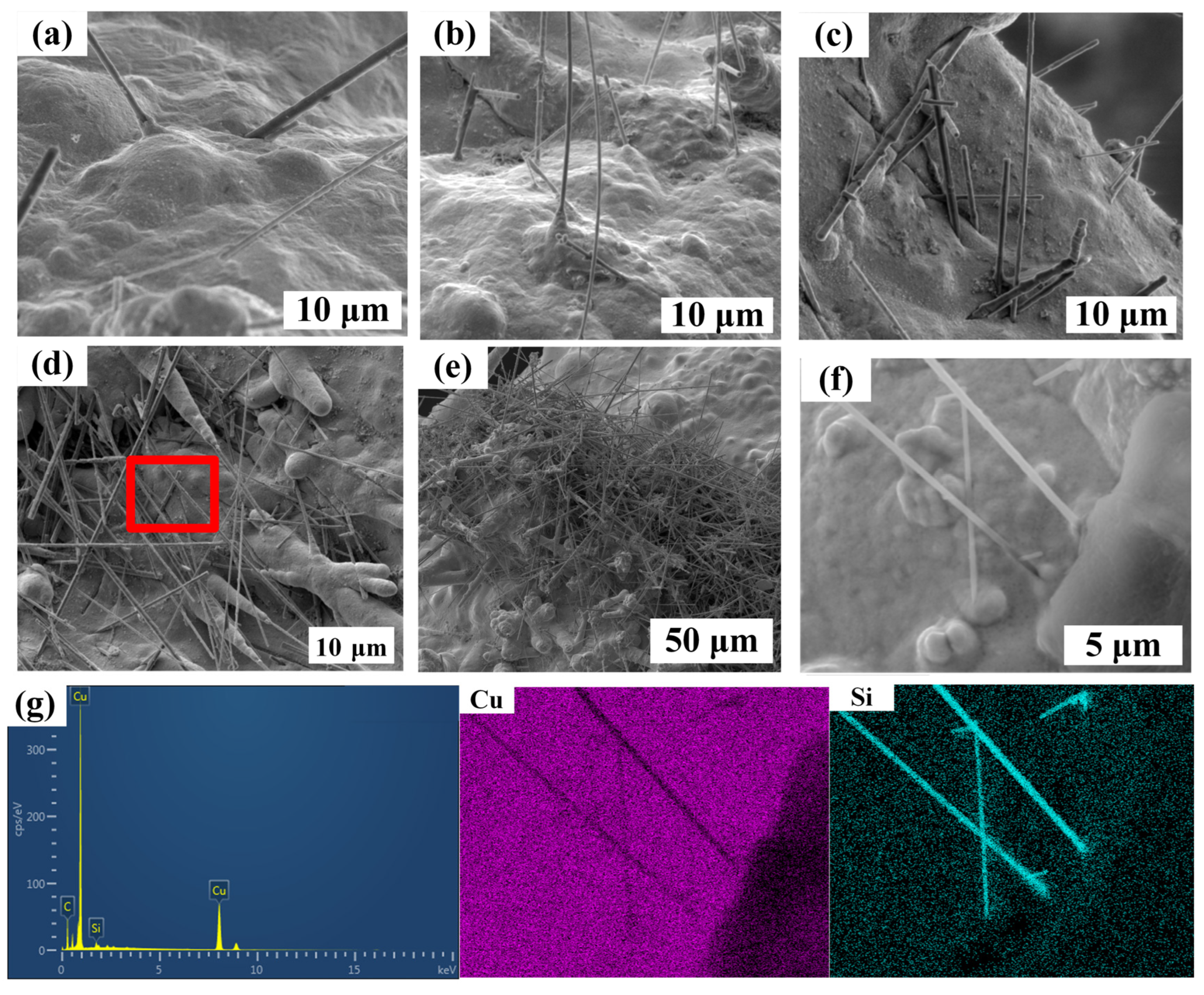 Nanomaterials 14 01043 g005