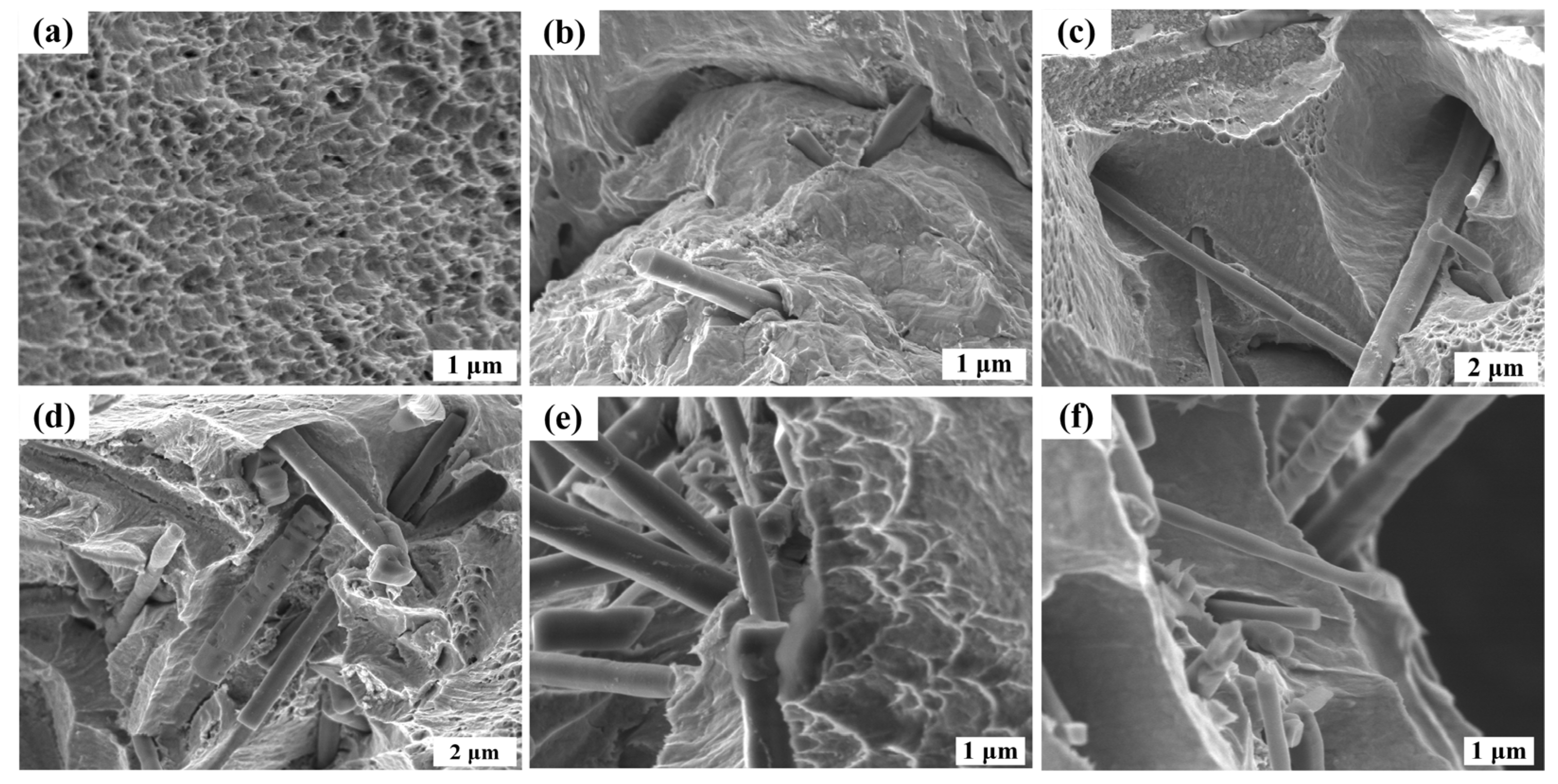 Nanomaterials 14 01043 g007