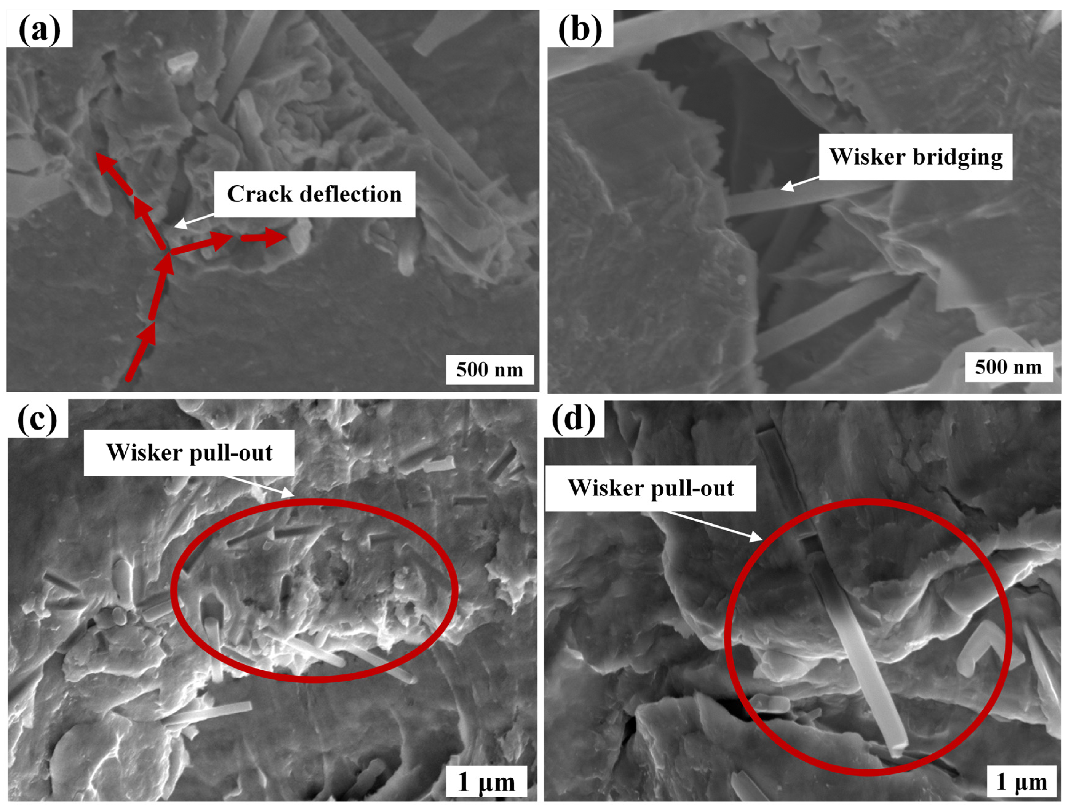 Nanomaterials 14 01043 g008