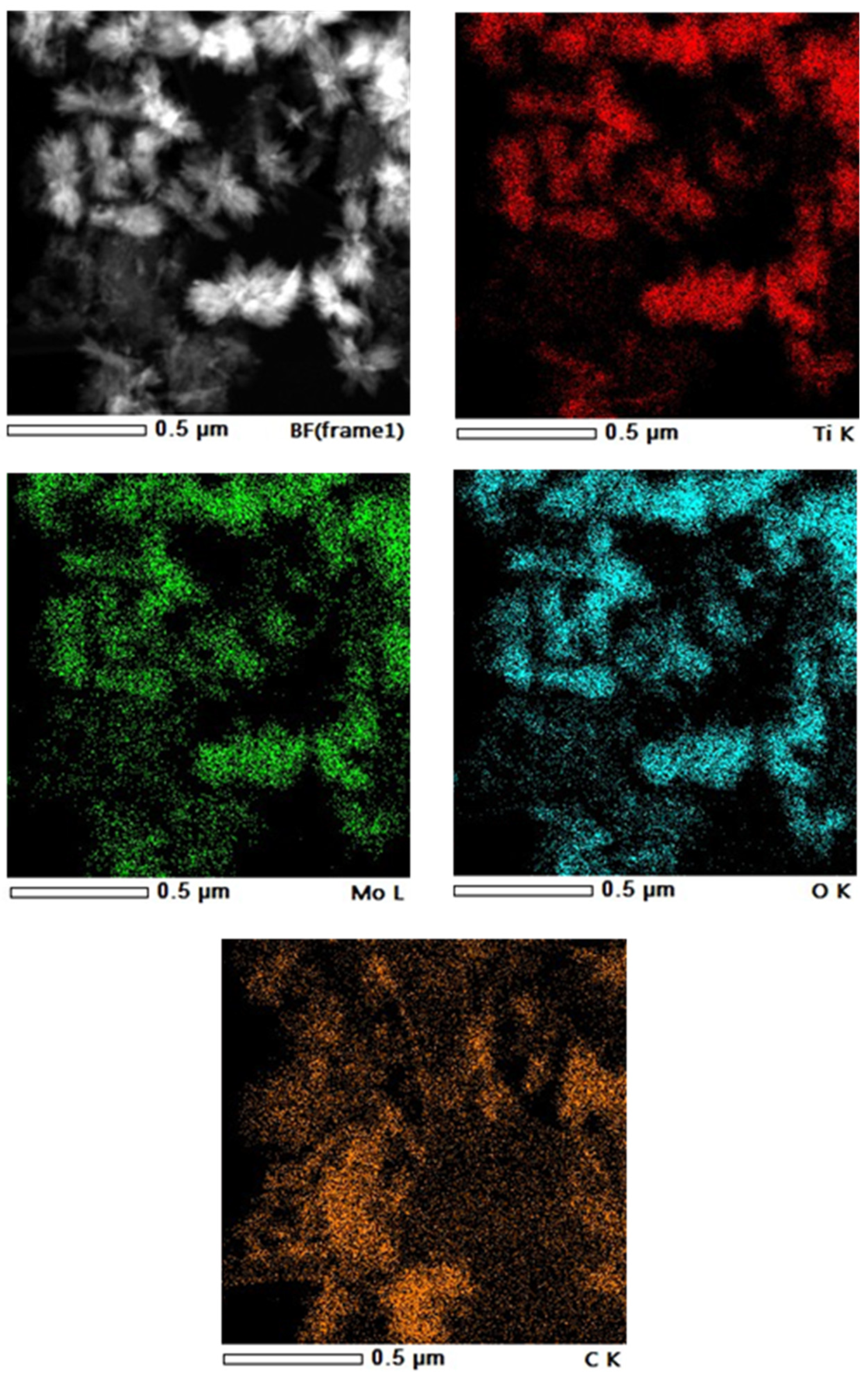 Nanomaterials 14 01053 g004