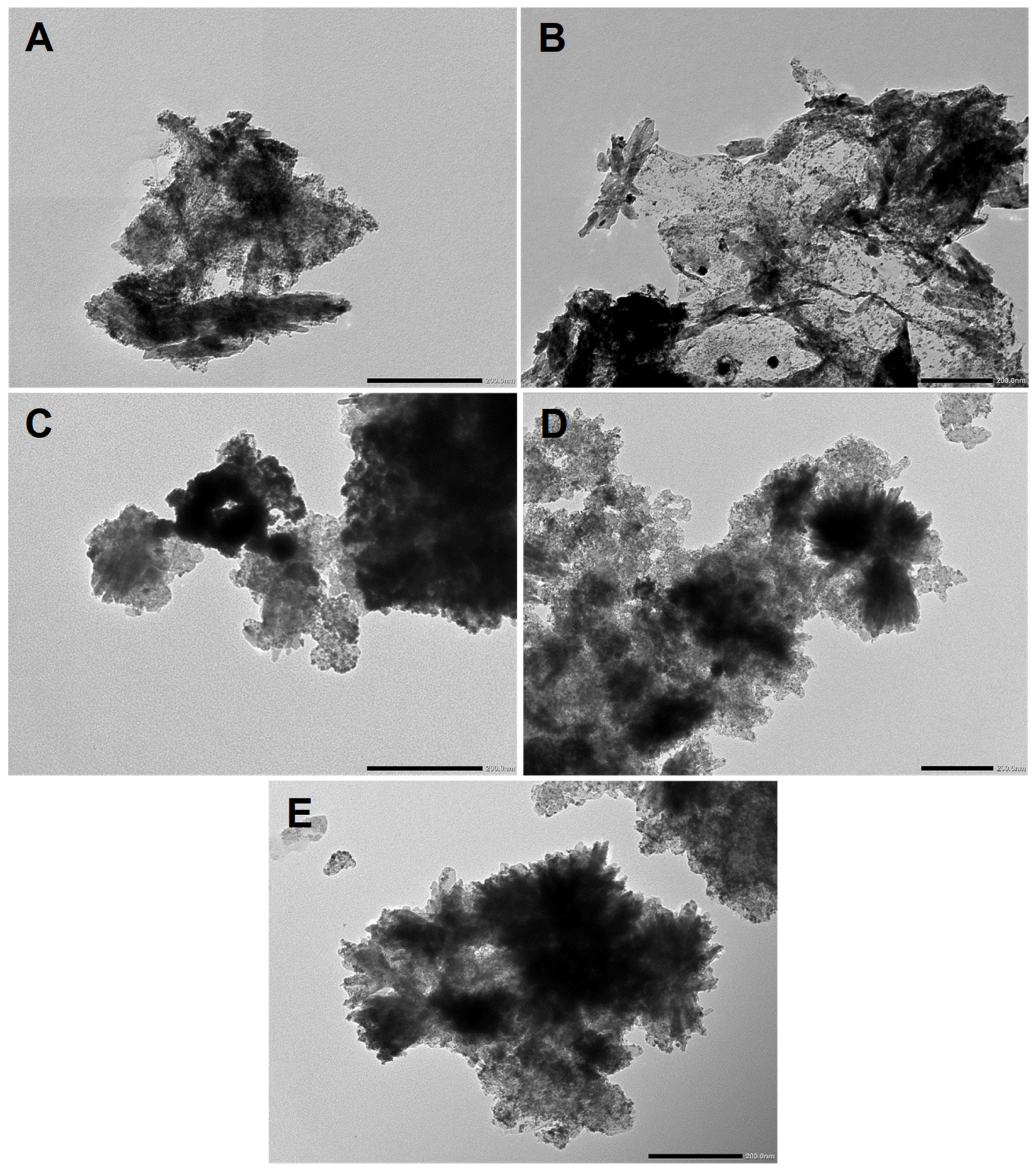 Nanomaterials 14 01053 g005