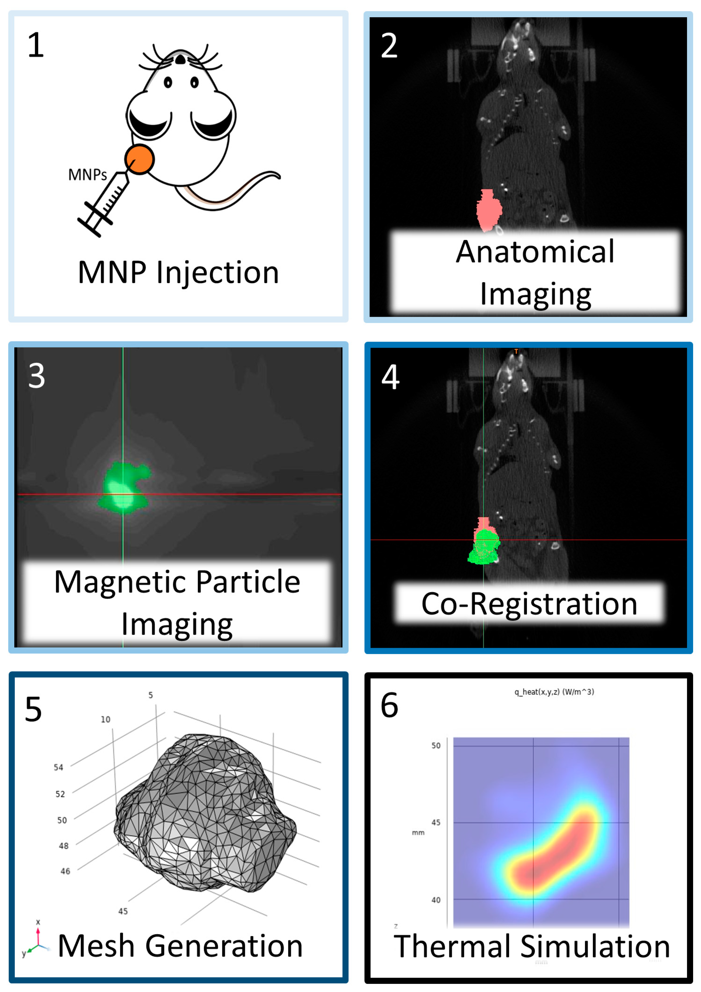Nanomaterials 14 01059 g001