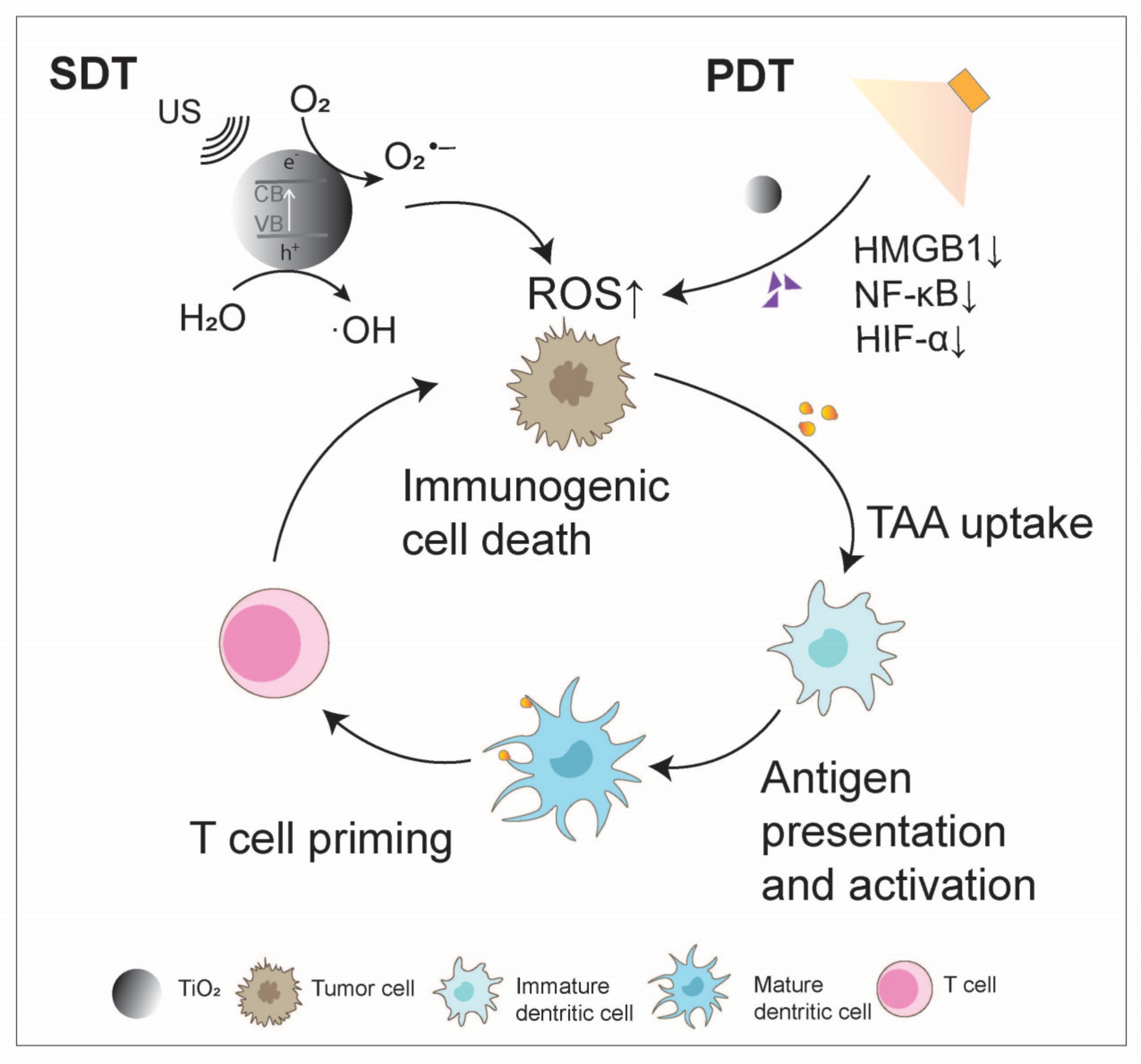 Nanomaterials 14 01064 g002