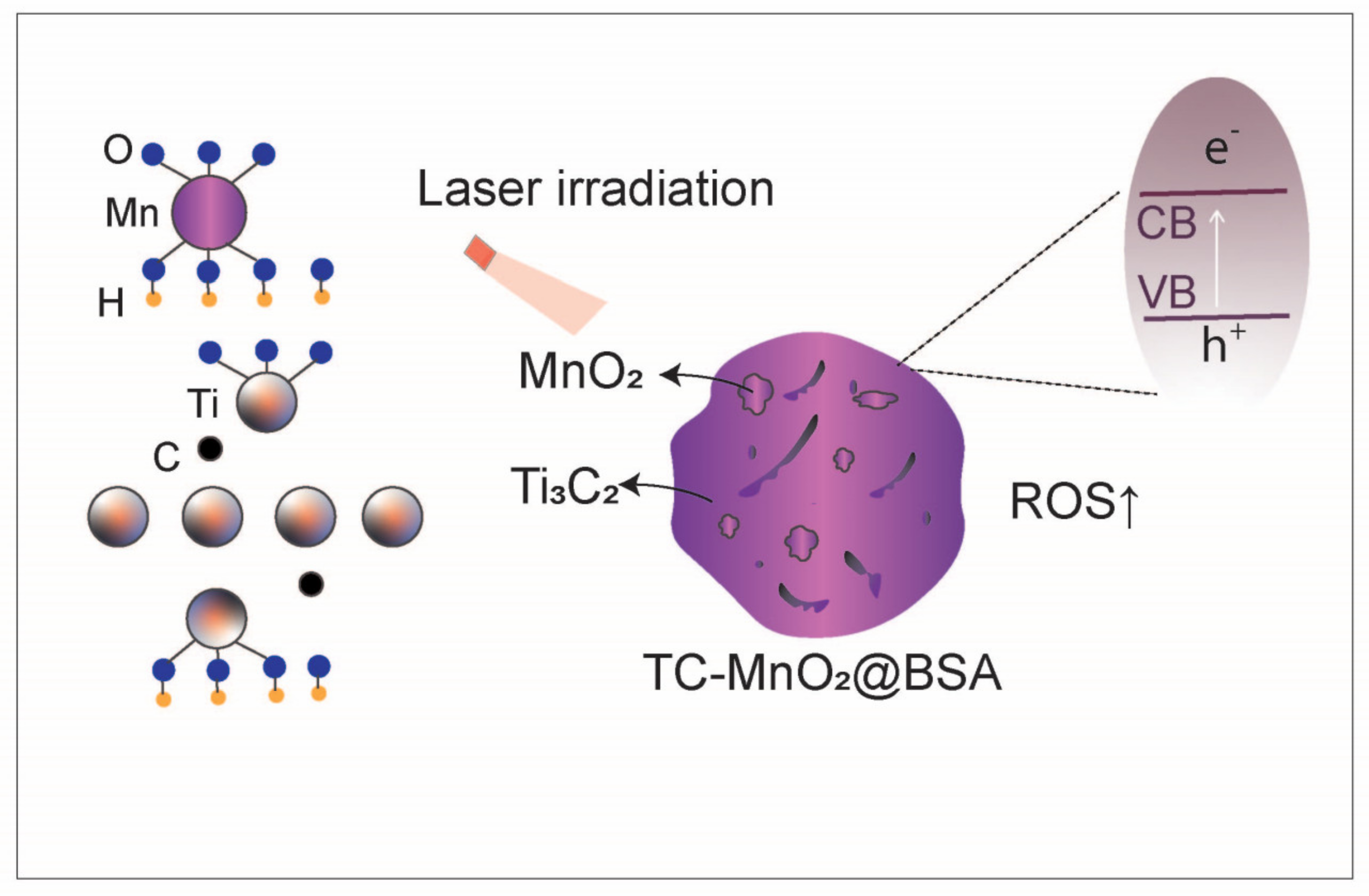 Nanomaterials 14 01064 g003