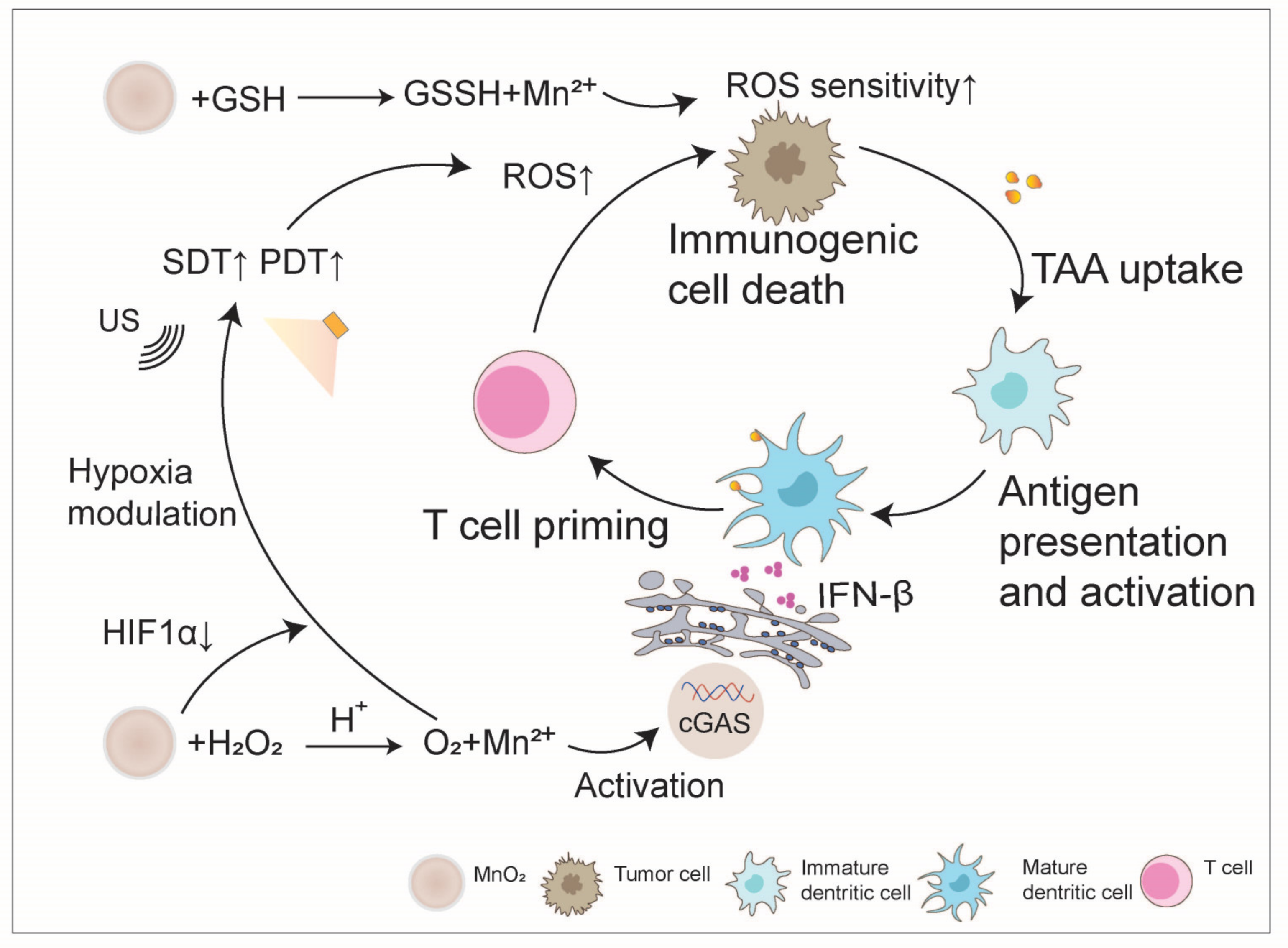 Nanomaterials 14 01064 g004