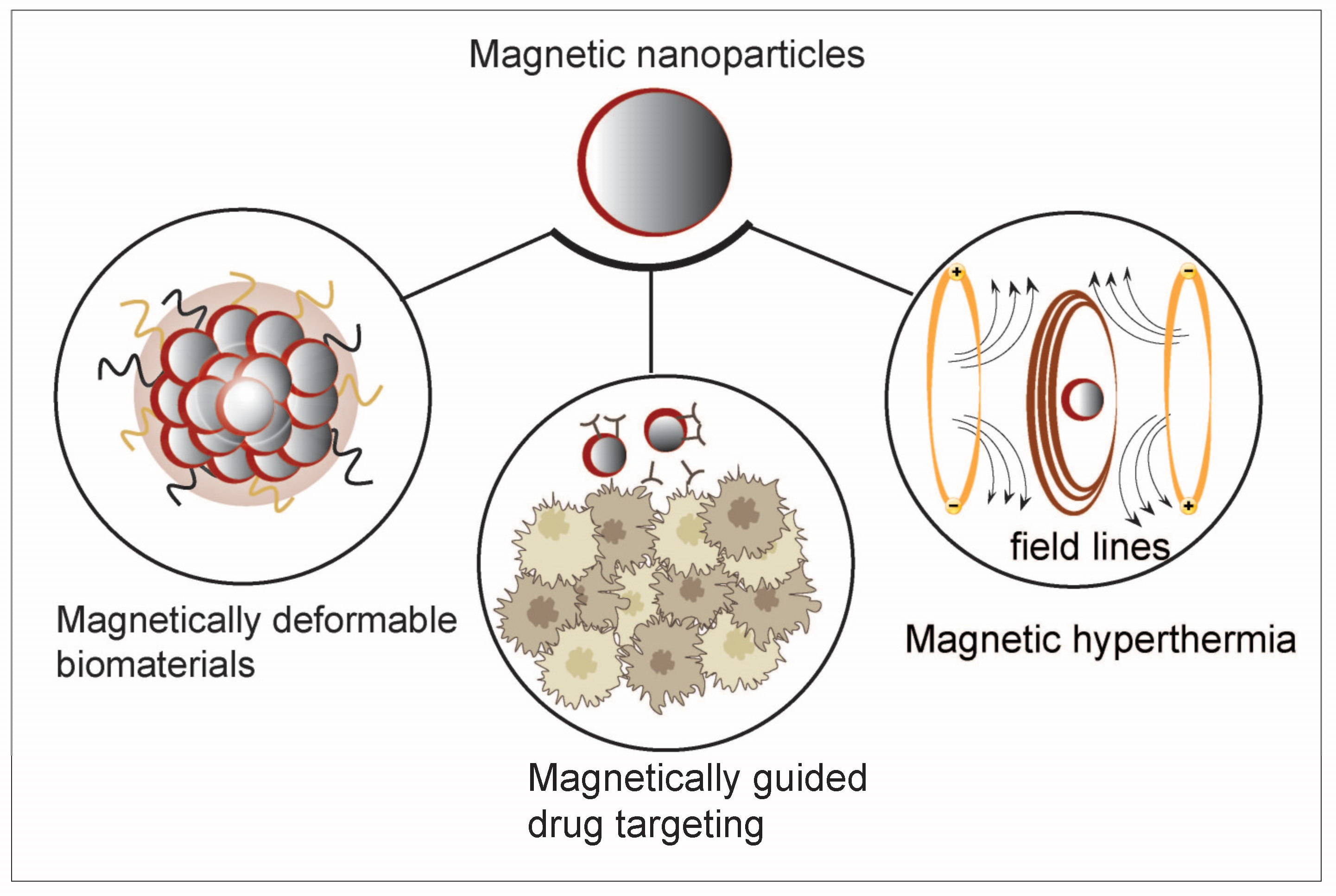Nanomaterials 14 01064 g006