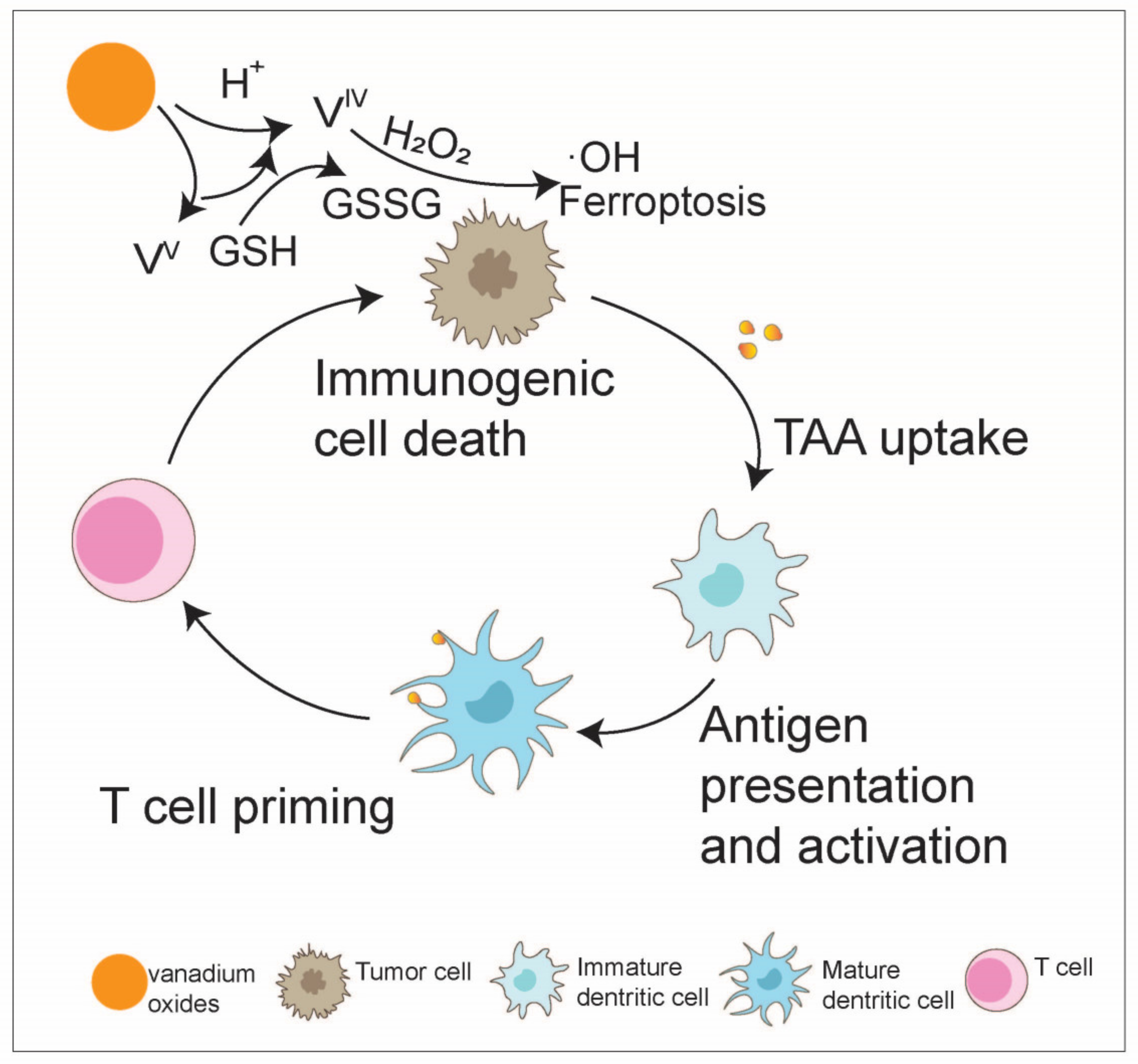 Nanomaterials 14 01064 g010