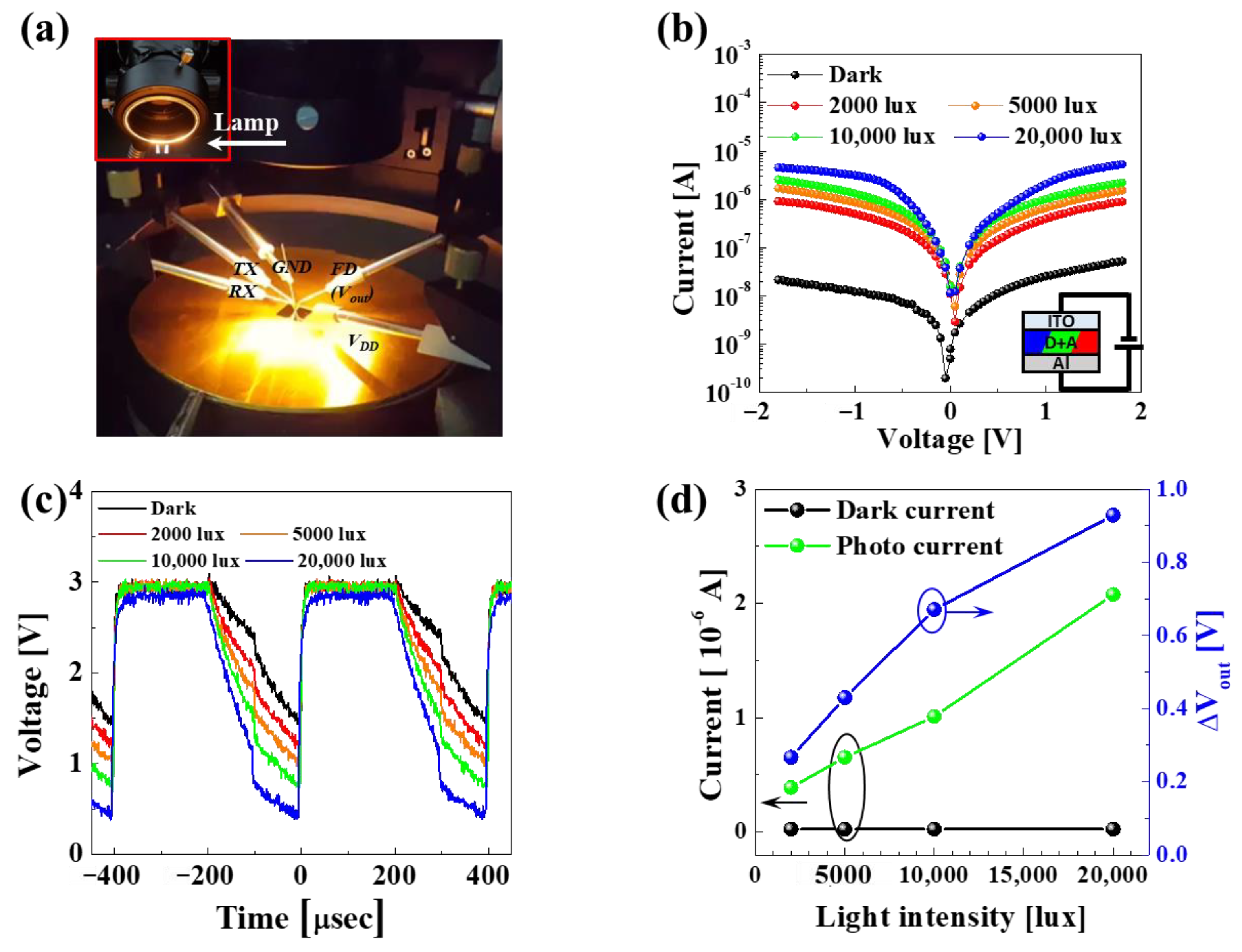 Nanomaterials 14 01066 g004