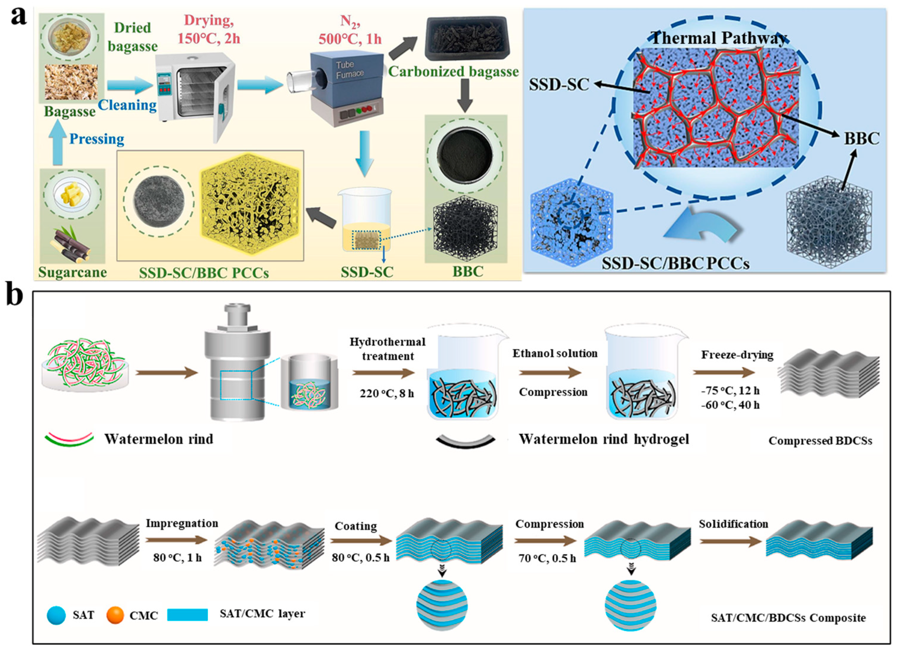 Nanomaterials 14 01077 g009