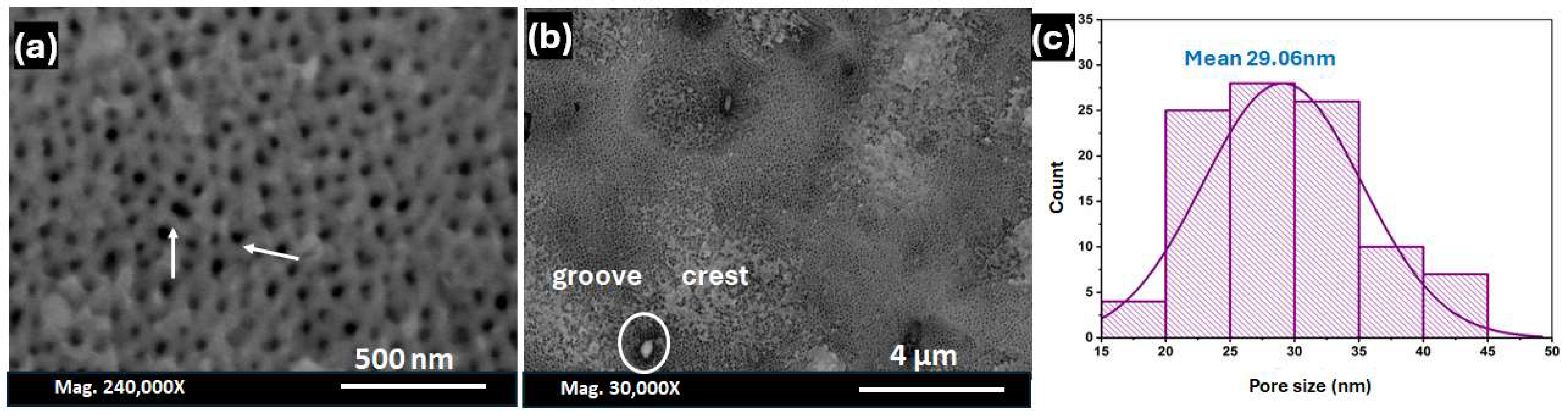 Nanomaterials 14 01078 g005