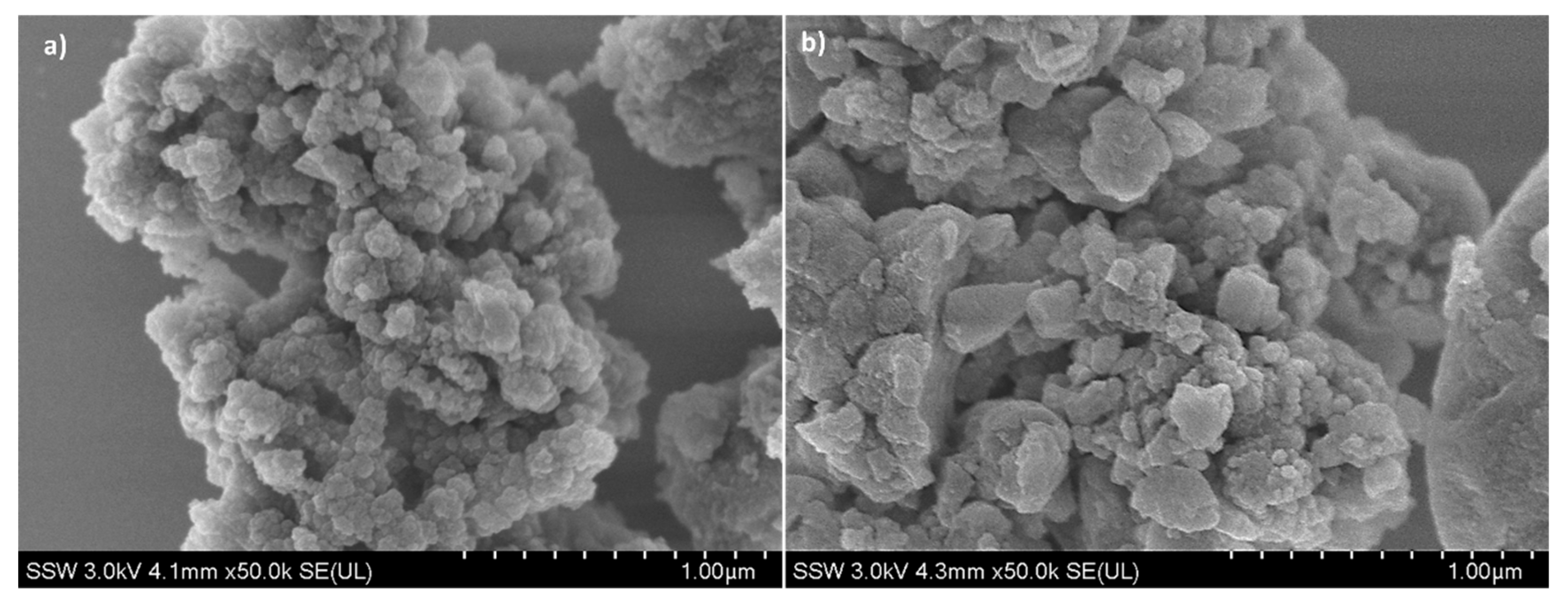 Nanomaterials 14 01081 g003a
