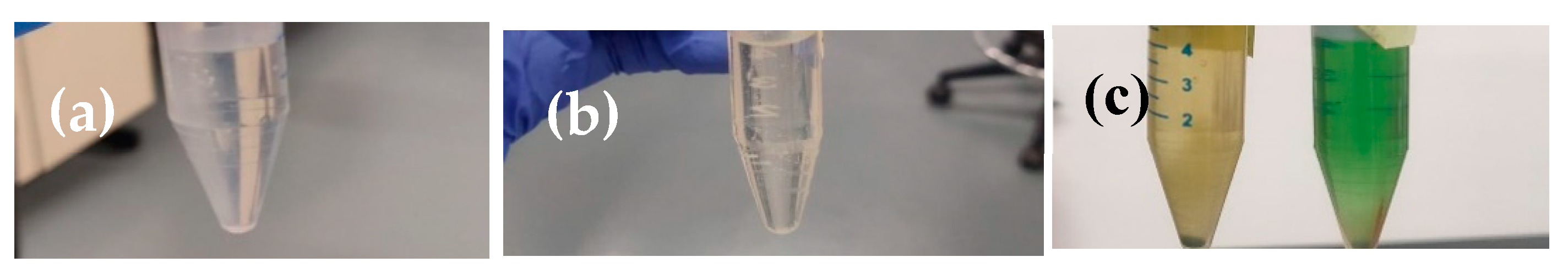 Nanomaterials 14 01081 g012