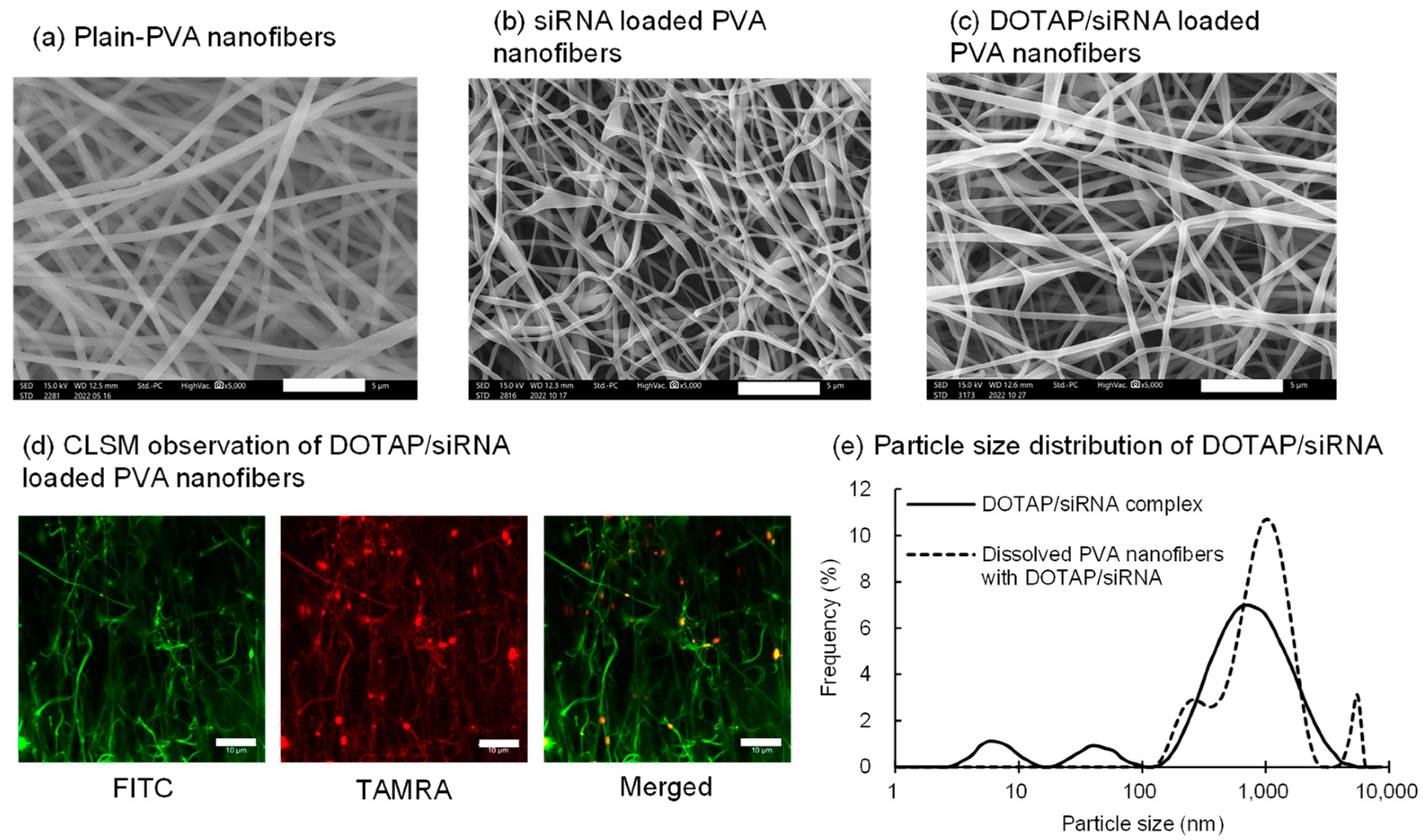 Nanomaterials 14 01083 g001