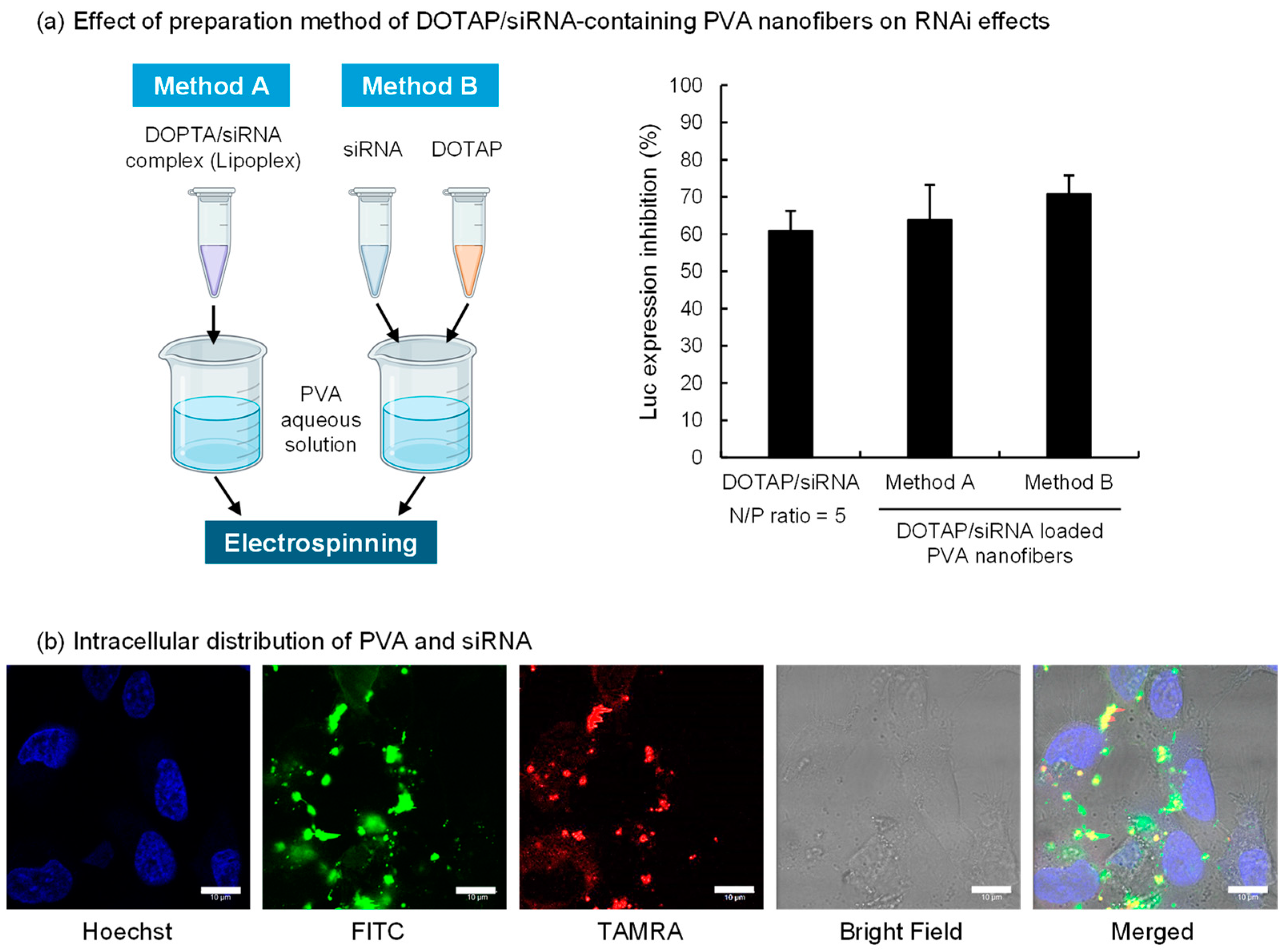 Nanomaterials 14 01083 g002
