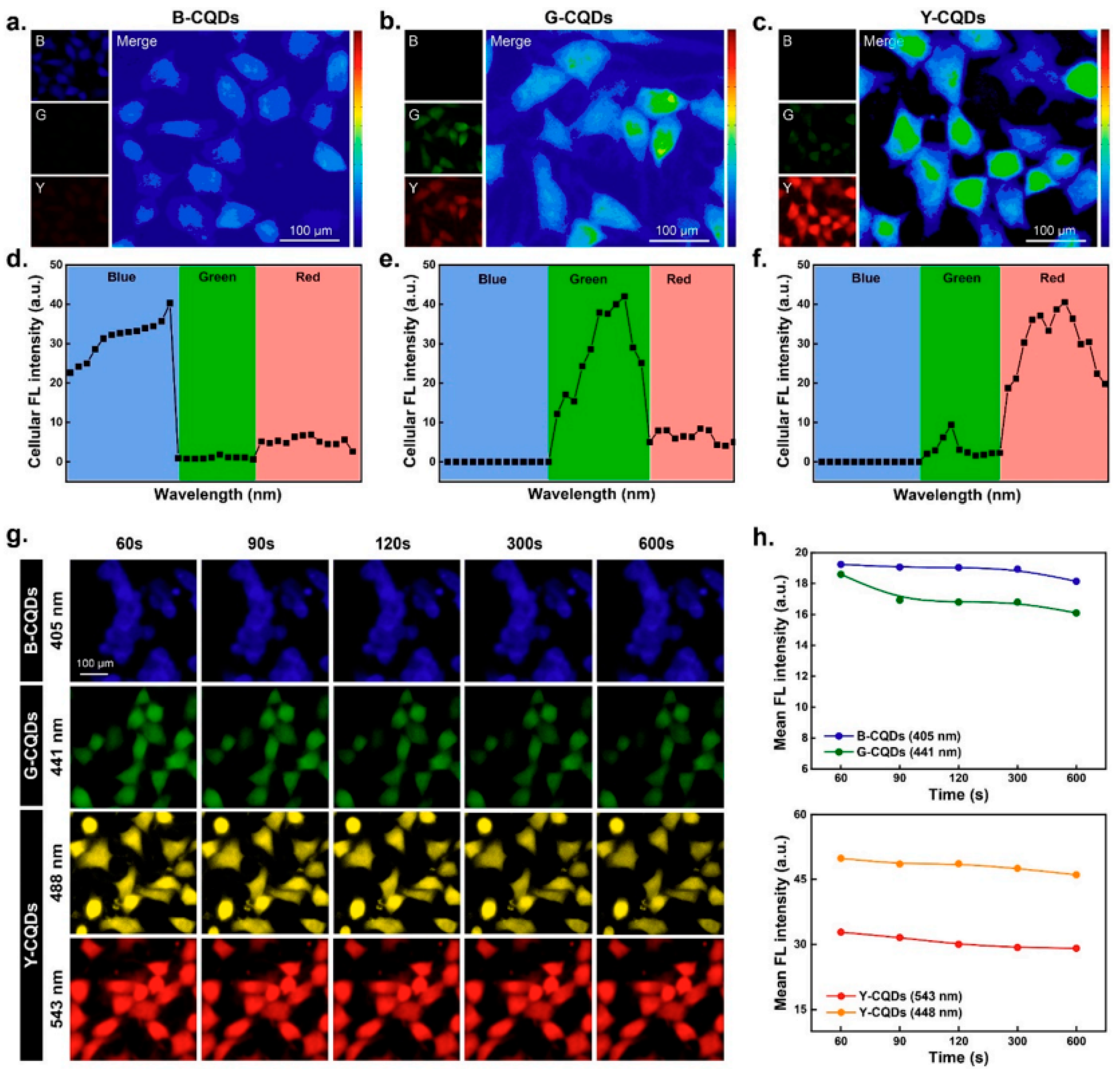 Nanomaterials 14 01085 g001