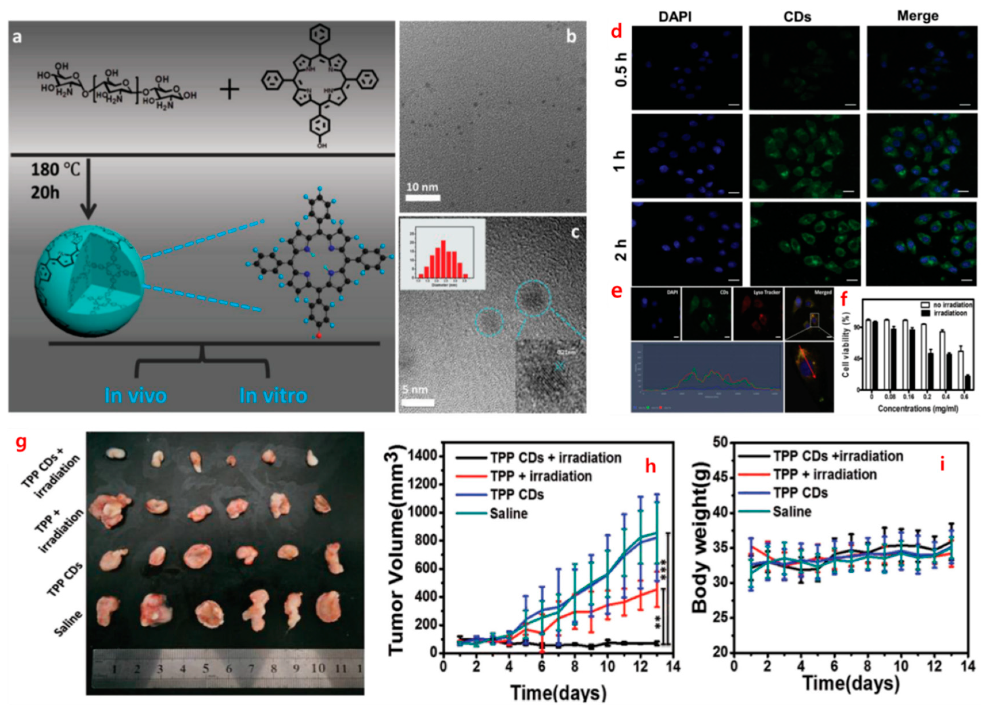 Nanomaterials 14 01085 g003