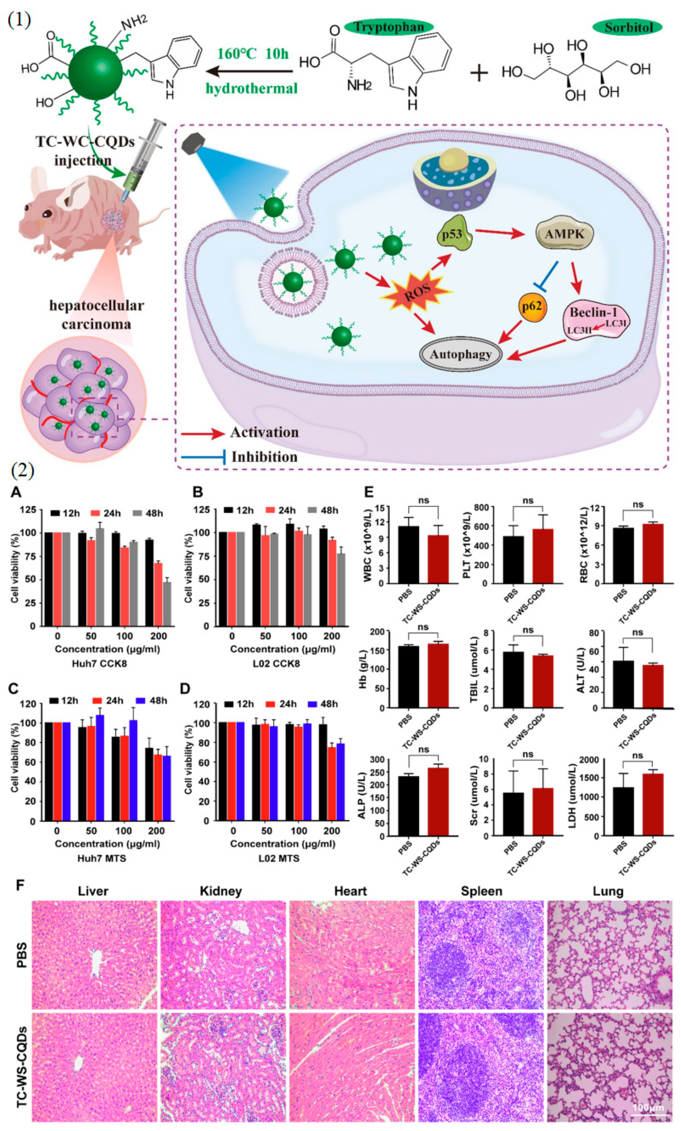 Nanomaterials 14 01085 g005